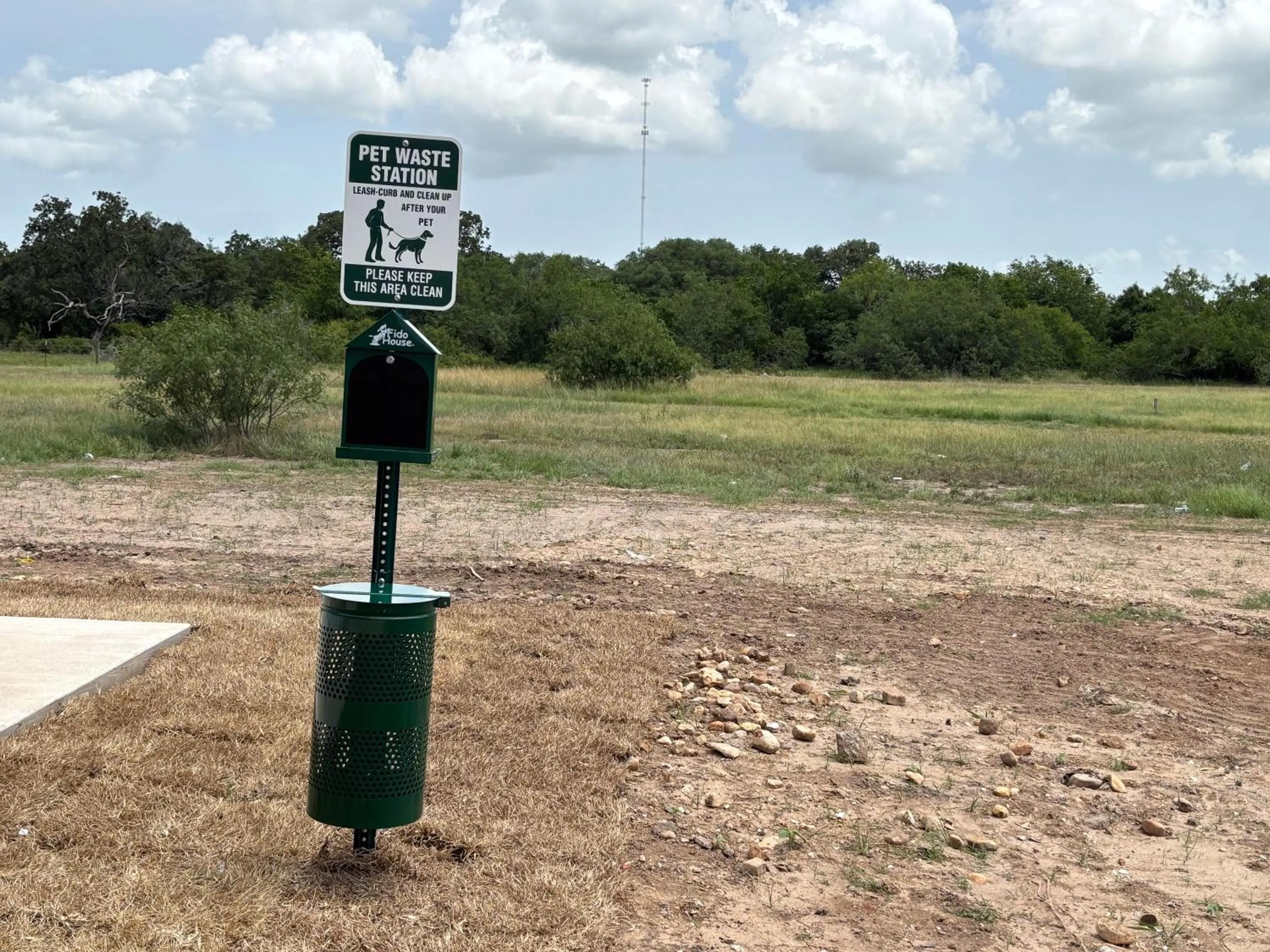 Animals in Studio 6 Giddings