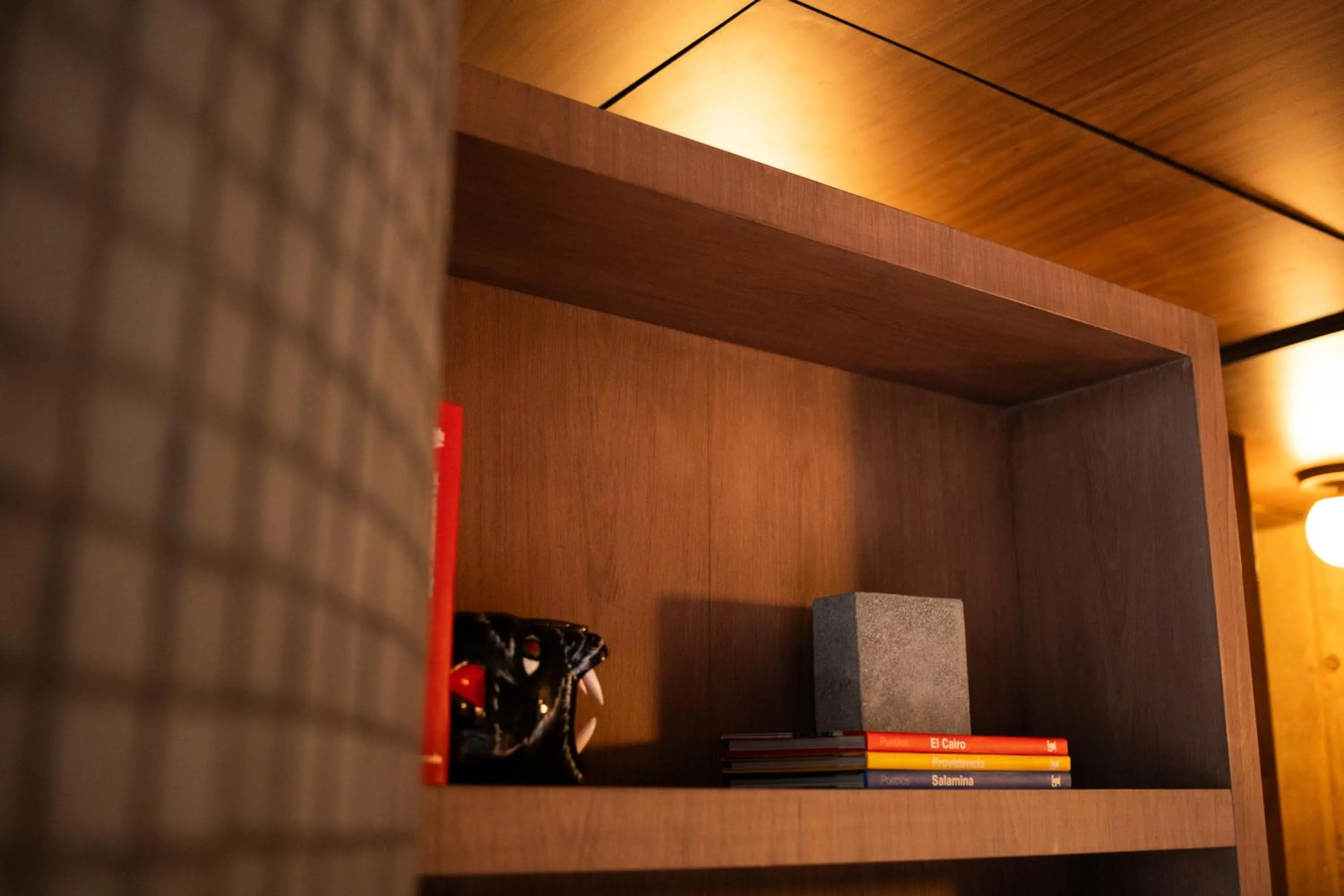 Library in 23 Living
