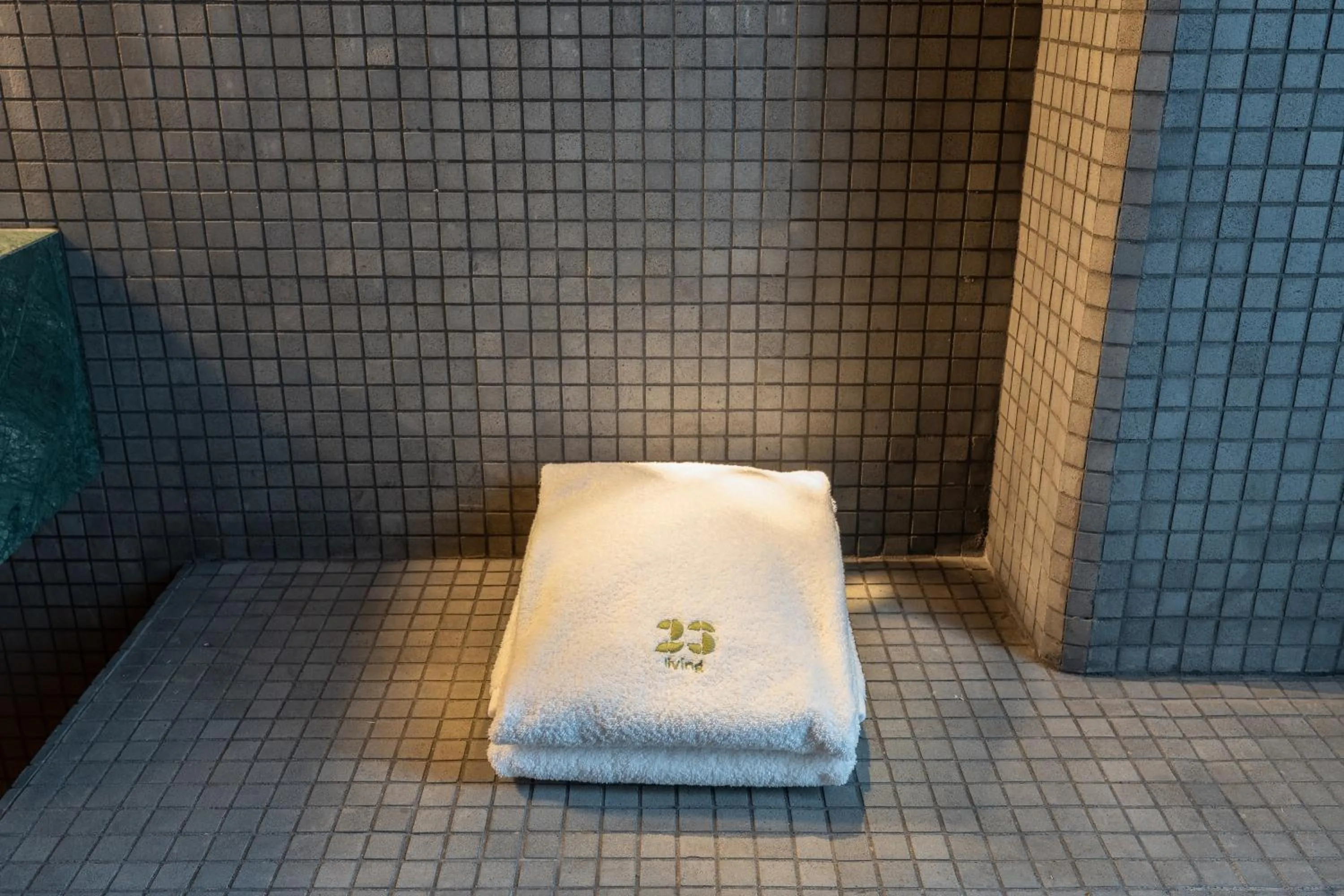 towels in 23 Living