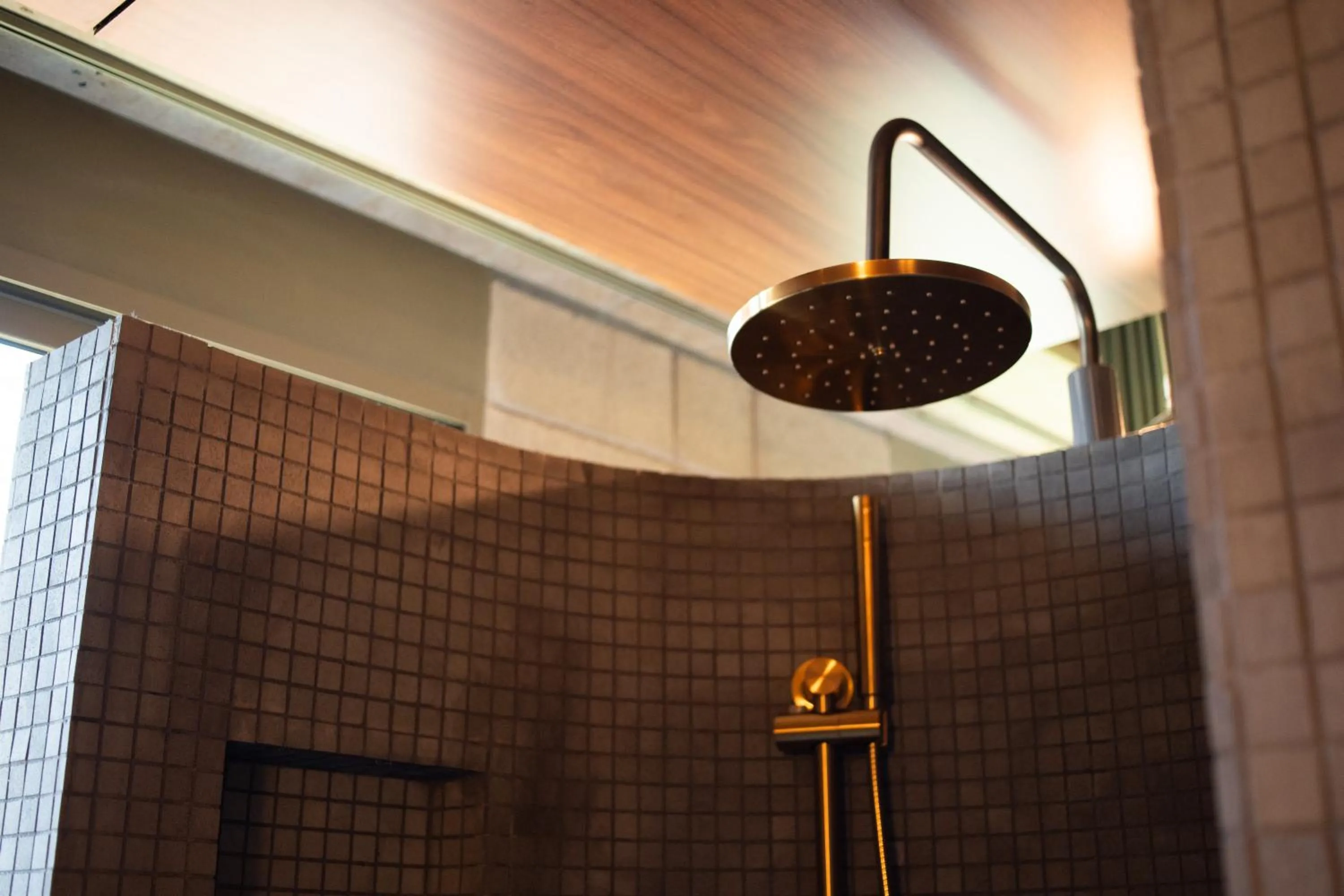 Shower in 23 Living