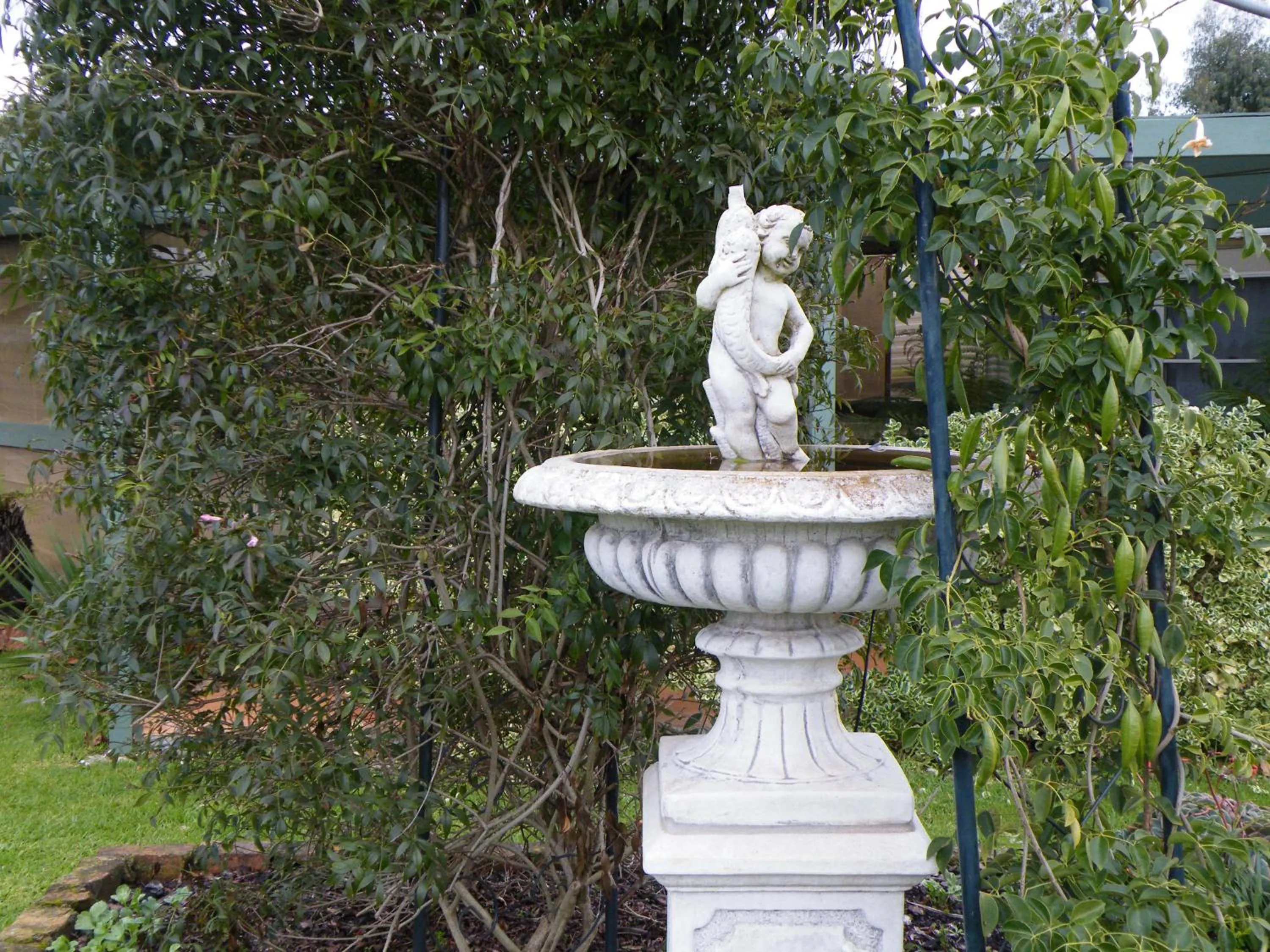 Garden in Hamilton Caravan Park