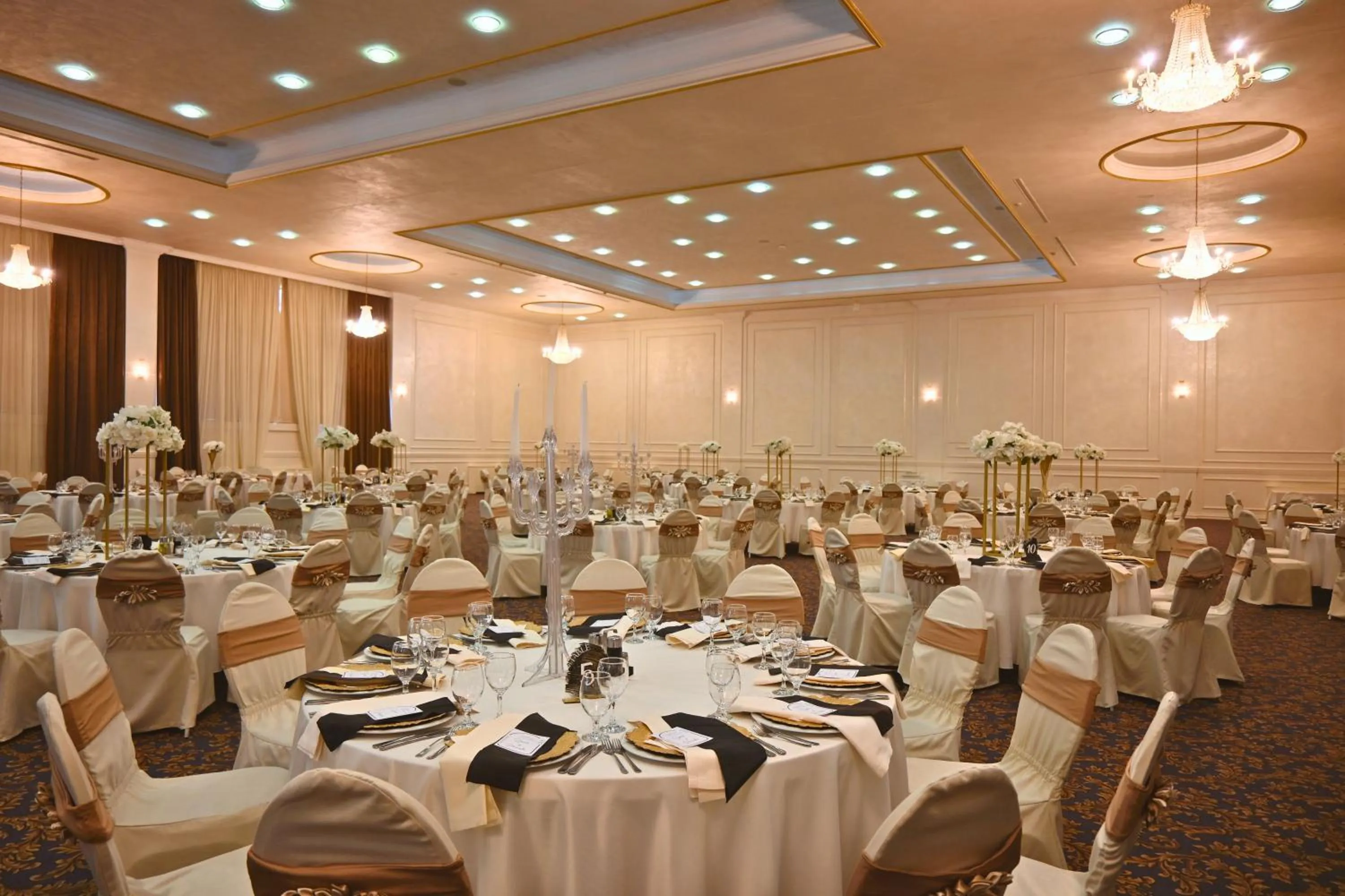 Banquet/Function facilities in Aleksandar Palace Hotel Congress Center & SPA