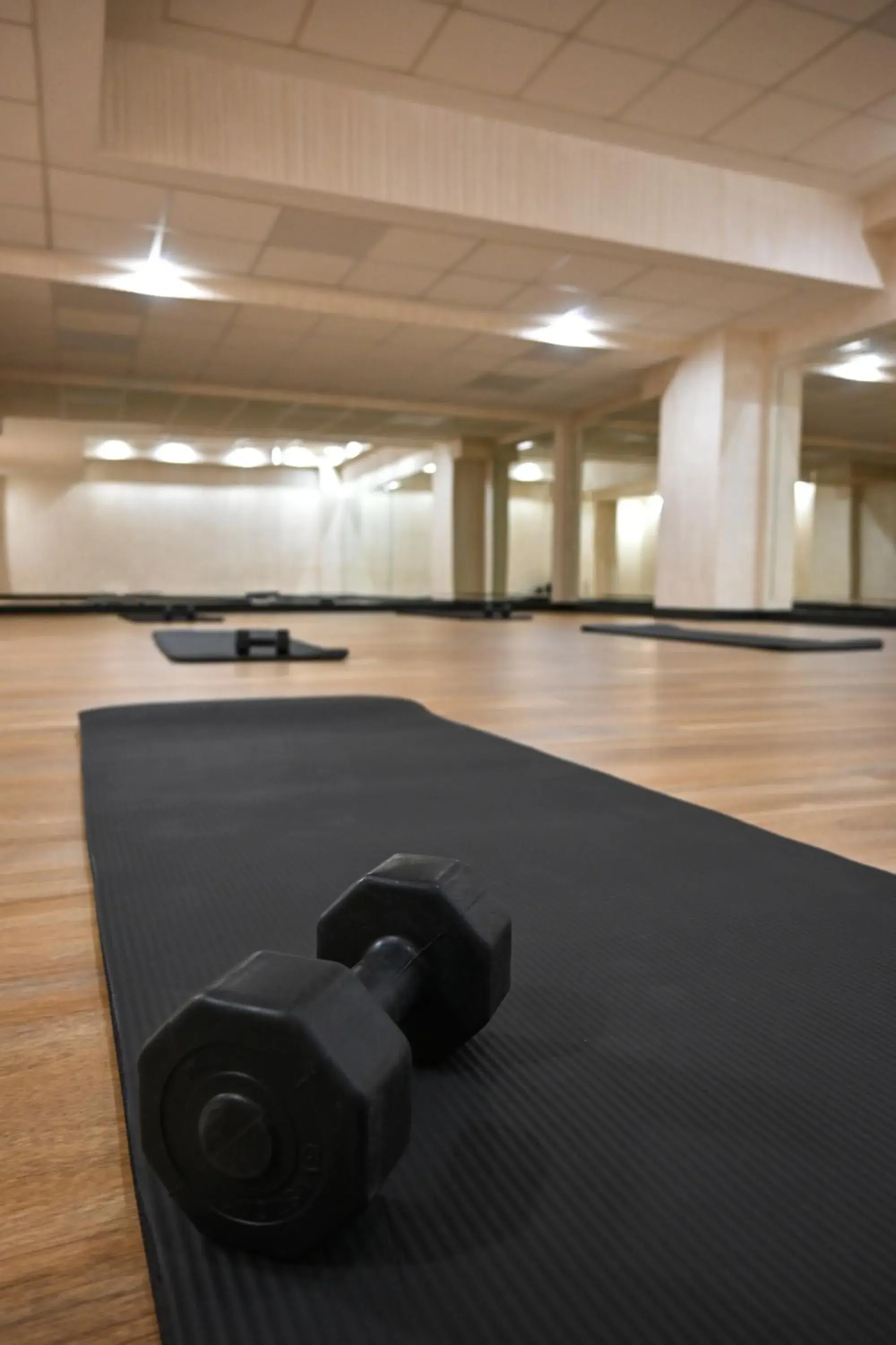 Fitness centre/facilities in Aleksandar Palace Hotel Congress Center & SPA Fitness centre/facilities in Aleksandar Palace Hotel Congress Center & SPA