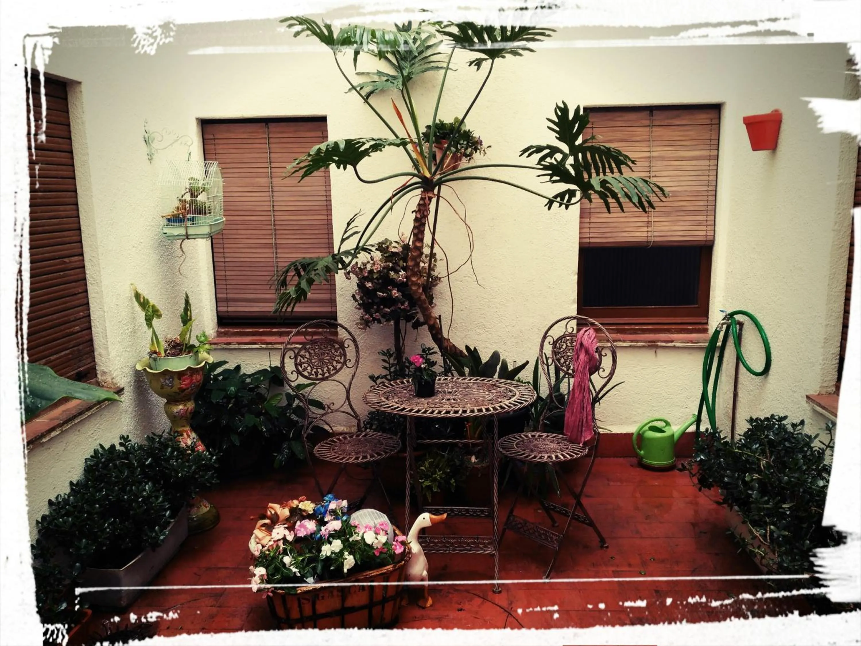 Patio in Hotel Miami