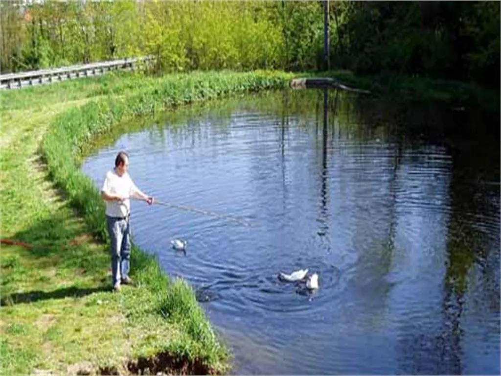 Natural landscape in Hotel Bellagio