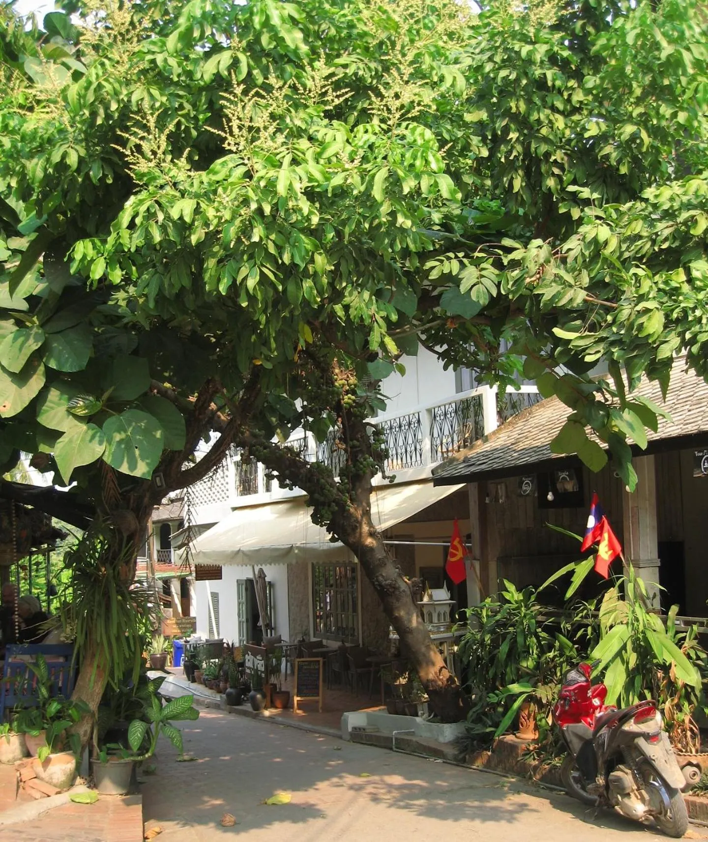 Property building in SamaiLaos Residence