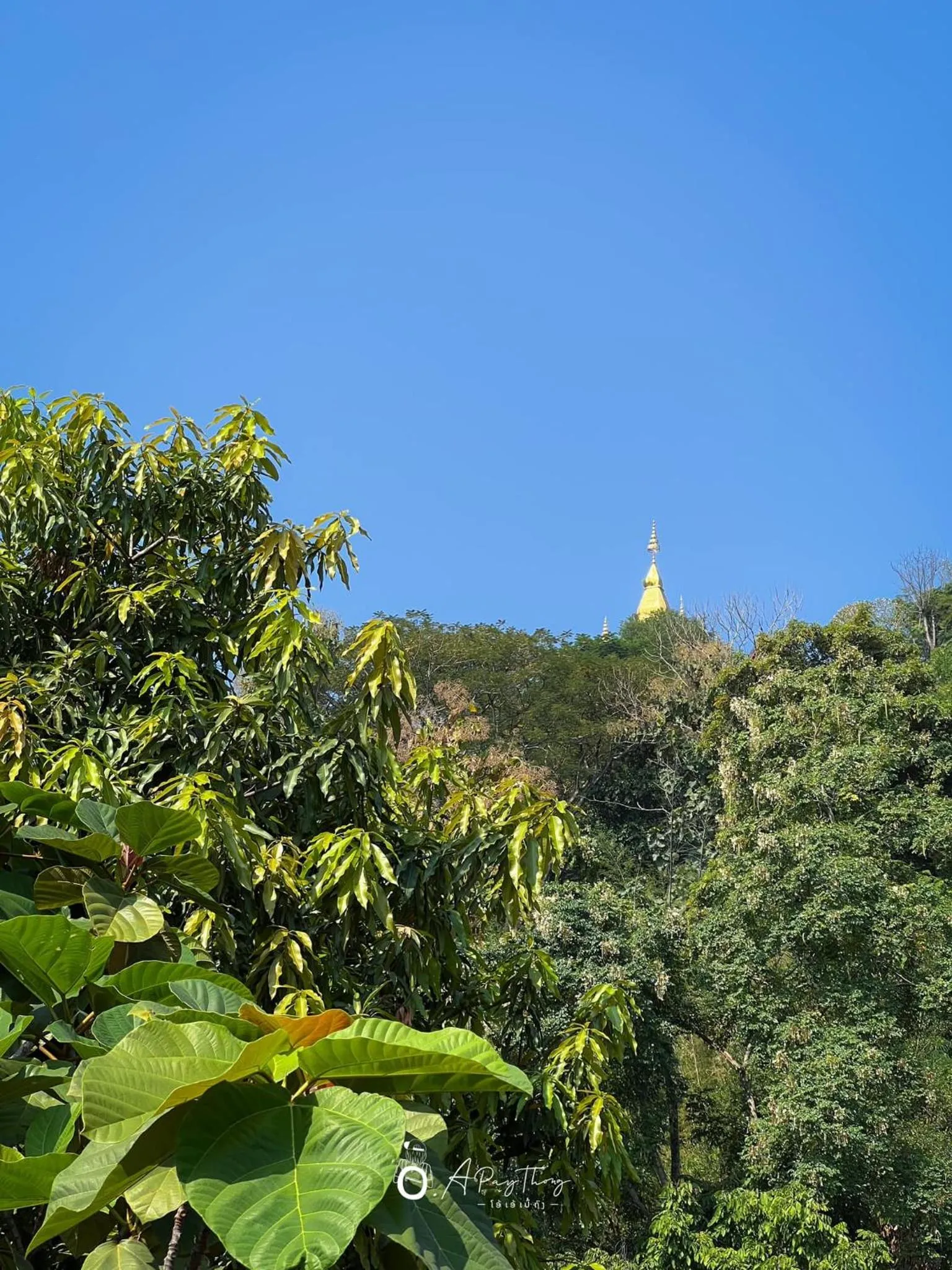 Spring in SamaiLaos Residence