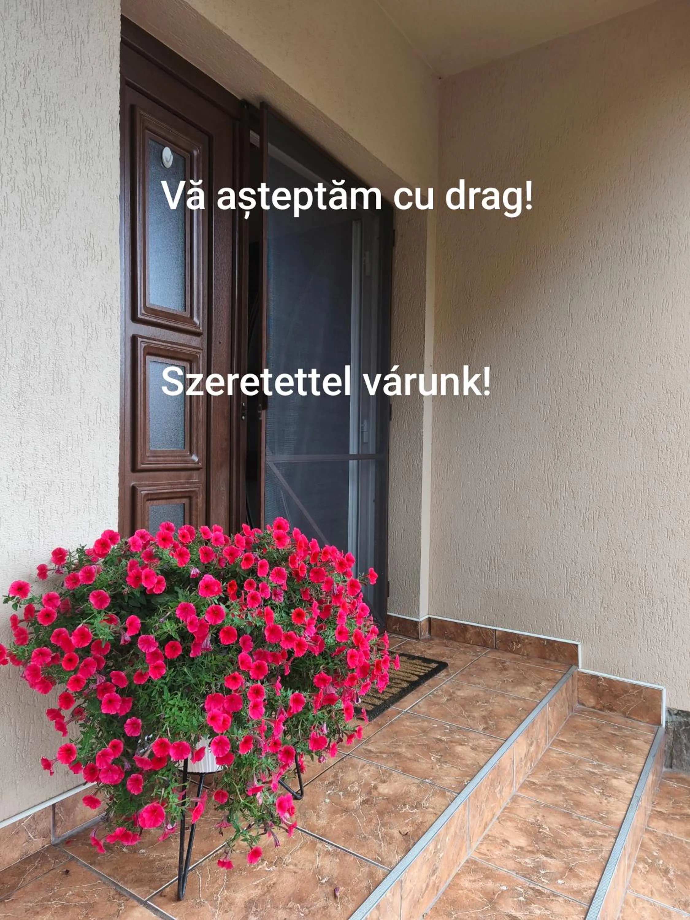 Text overlay in Nárcisz B&B