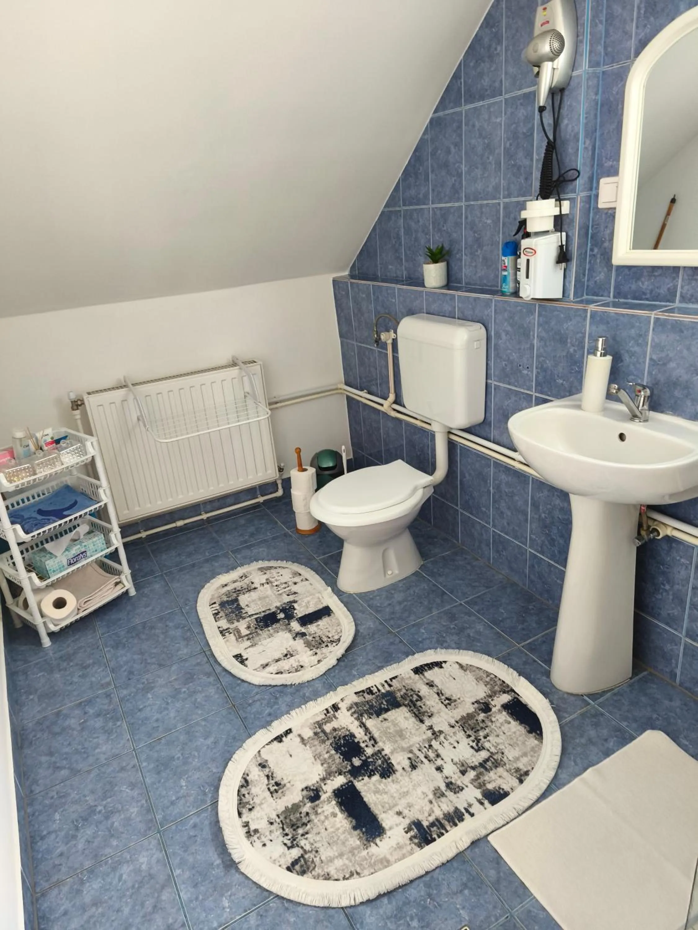 Bathroom in Nárcisz B&B