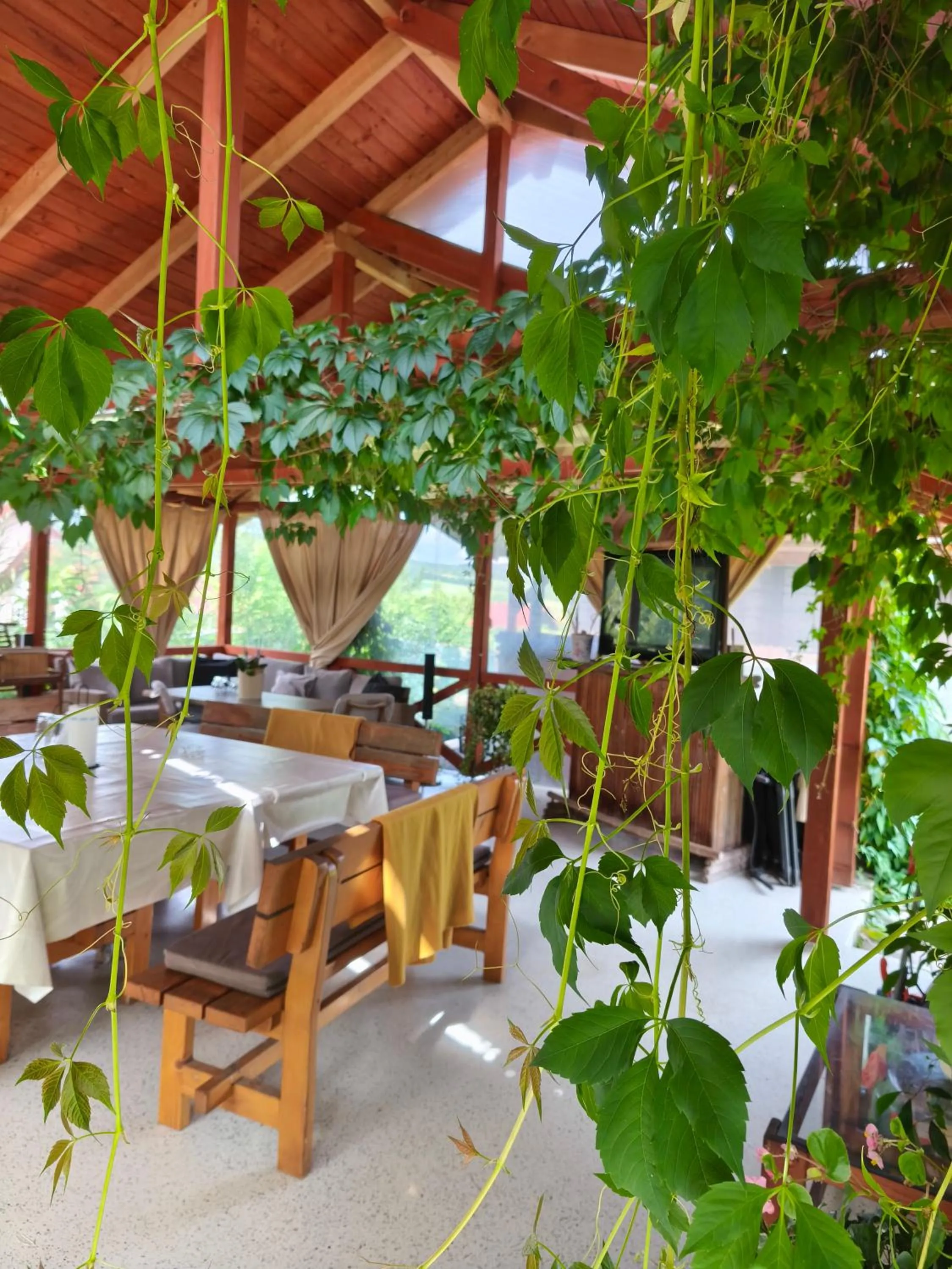 Patio in Nárcisz B&B