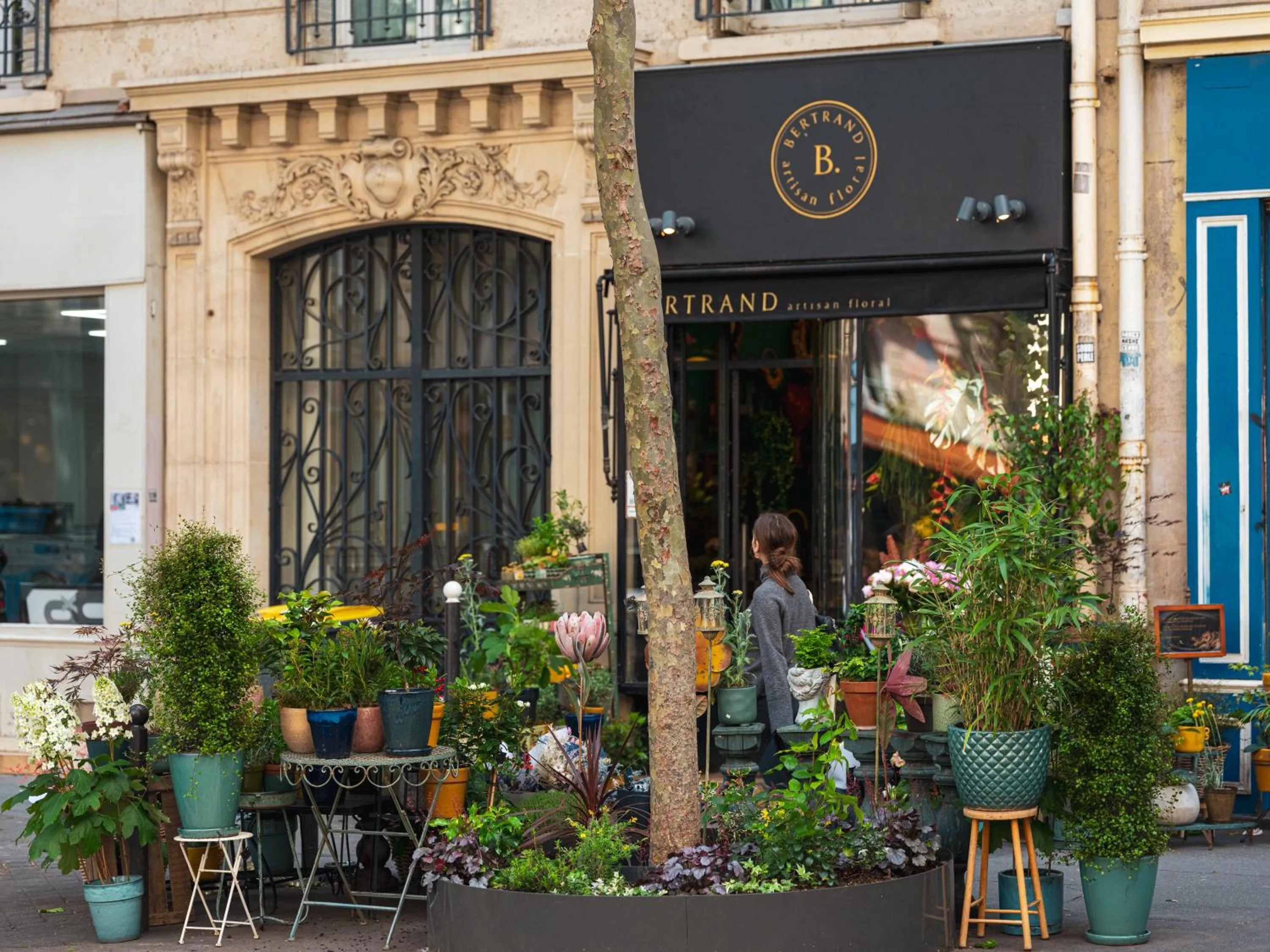 Area and facilities in Hôtel Exquis