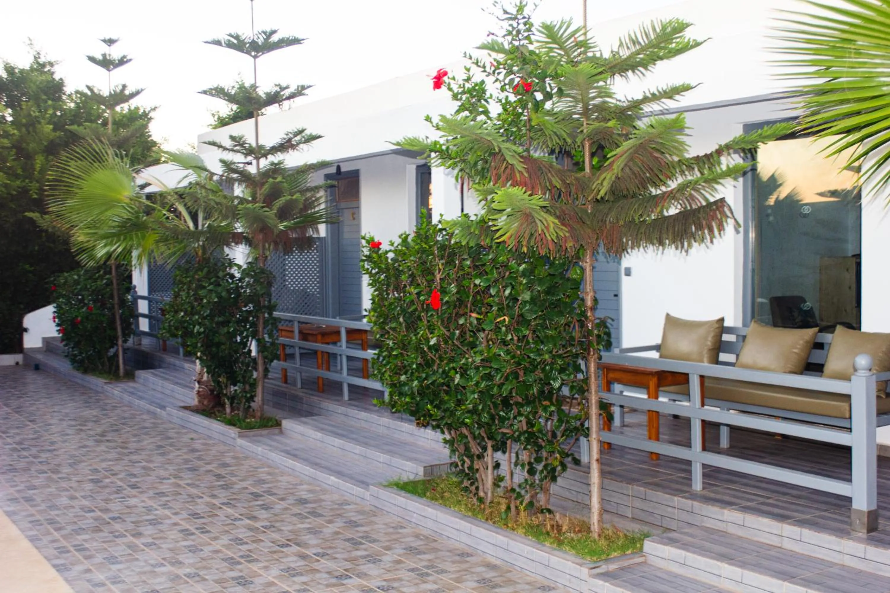 Garden in Dar naima