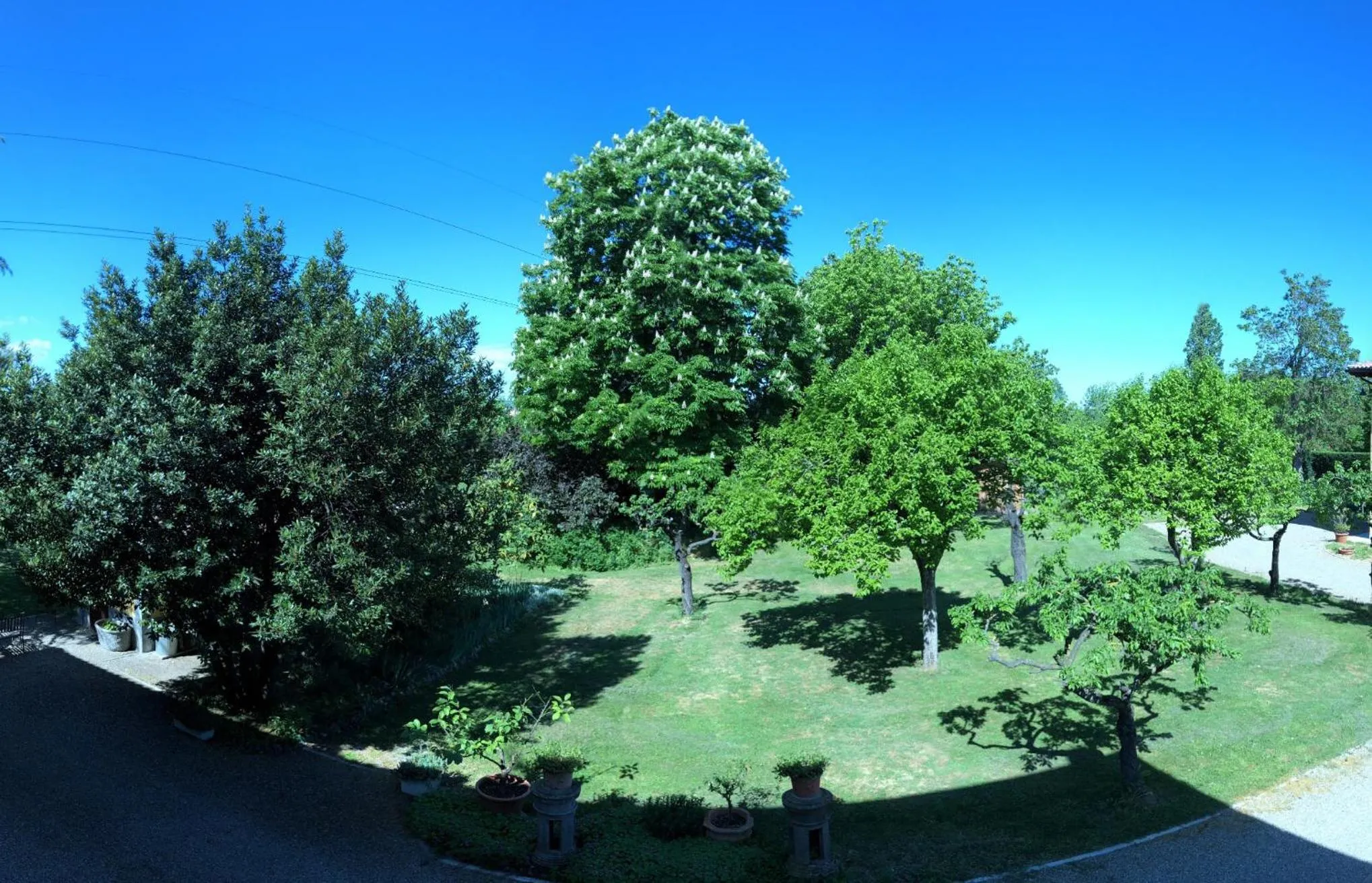 Garden view in B&B Villino Margherita