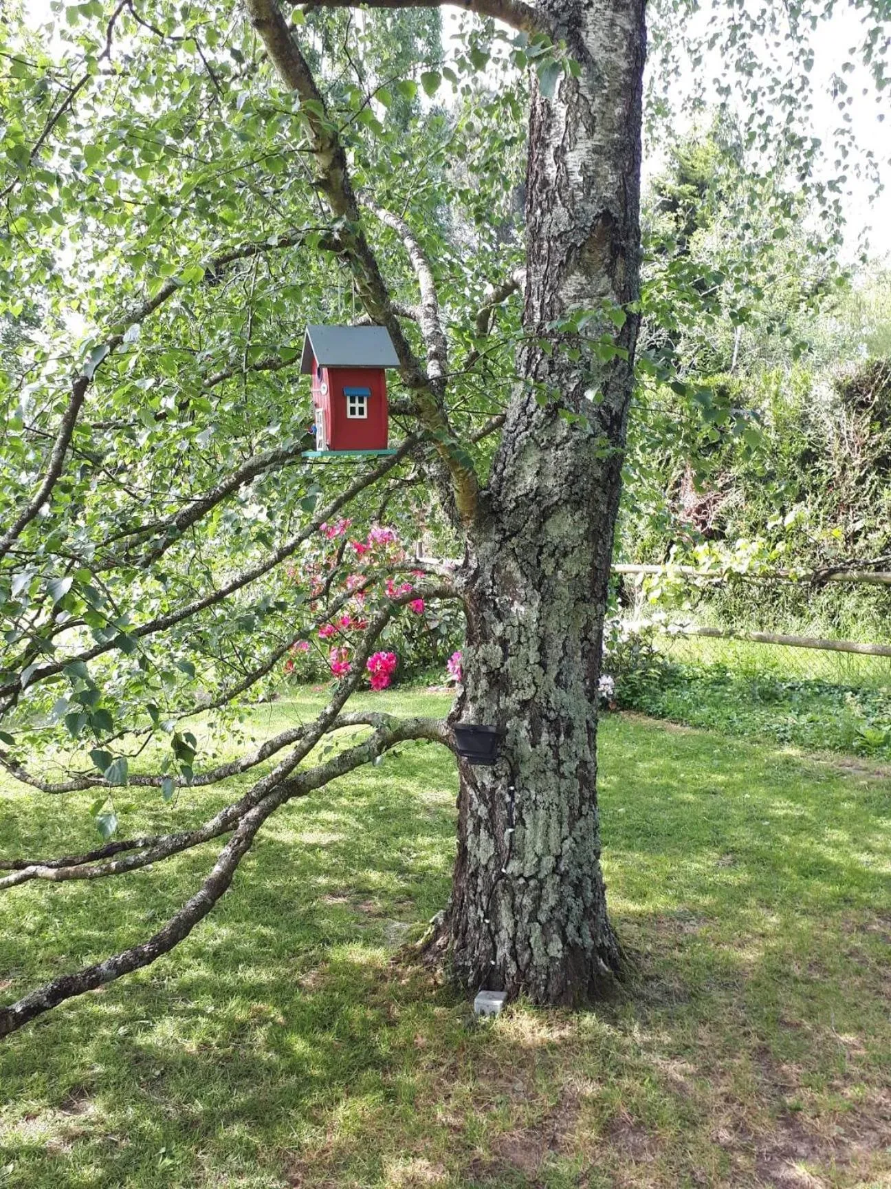 Garden in Chambre D'hôte De La Rotterie