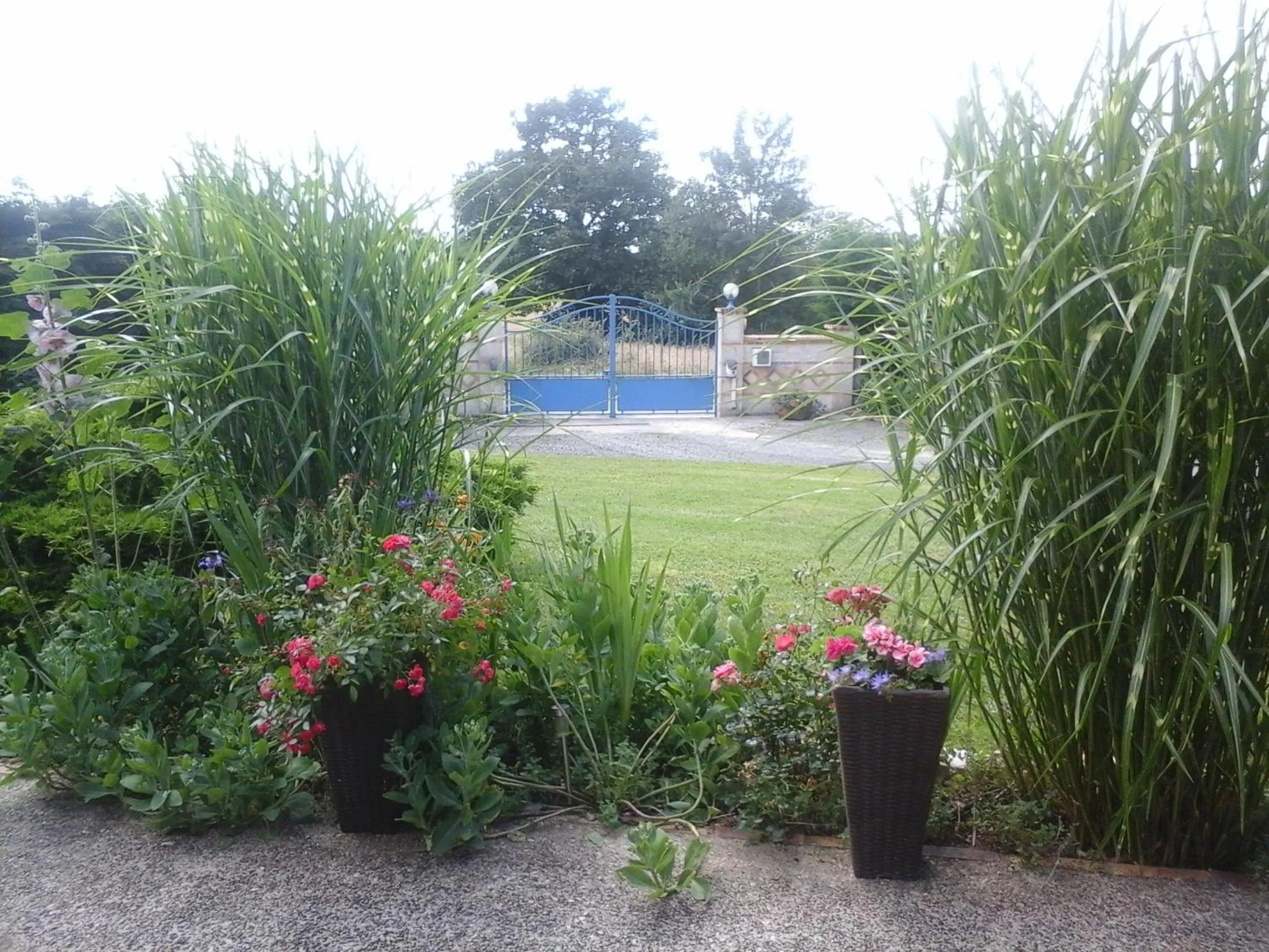 Garden in Chambre D'hôte De La Rotterie