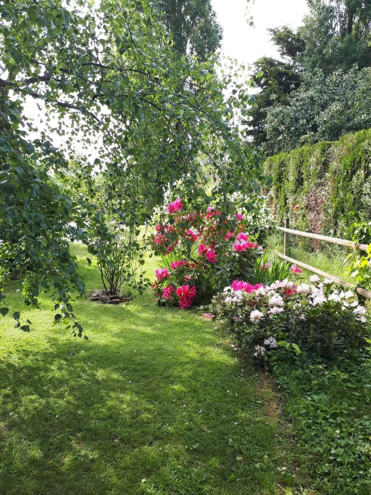 Garden in Chambre D'hôte De La Rotterie