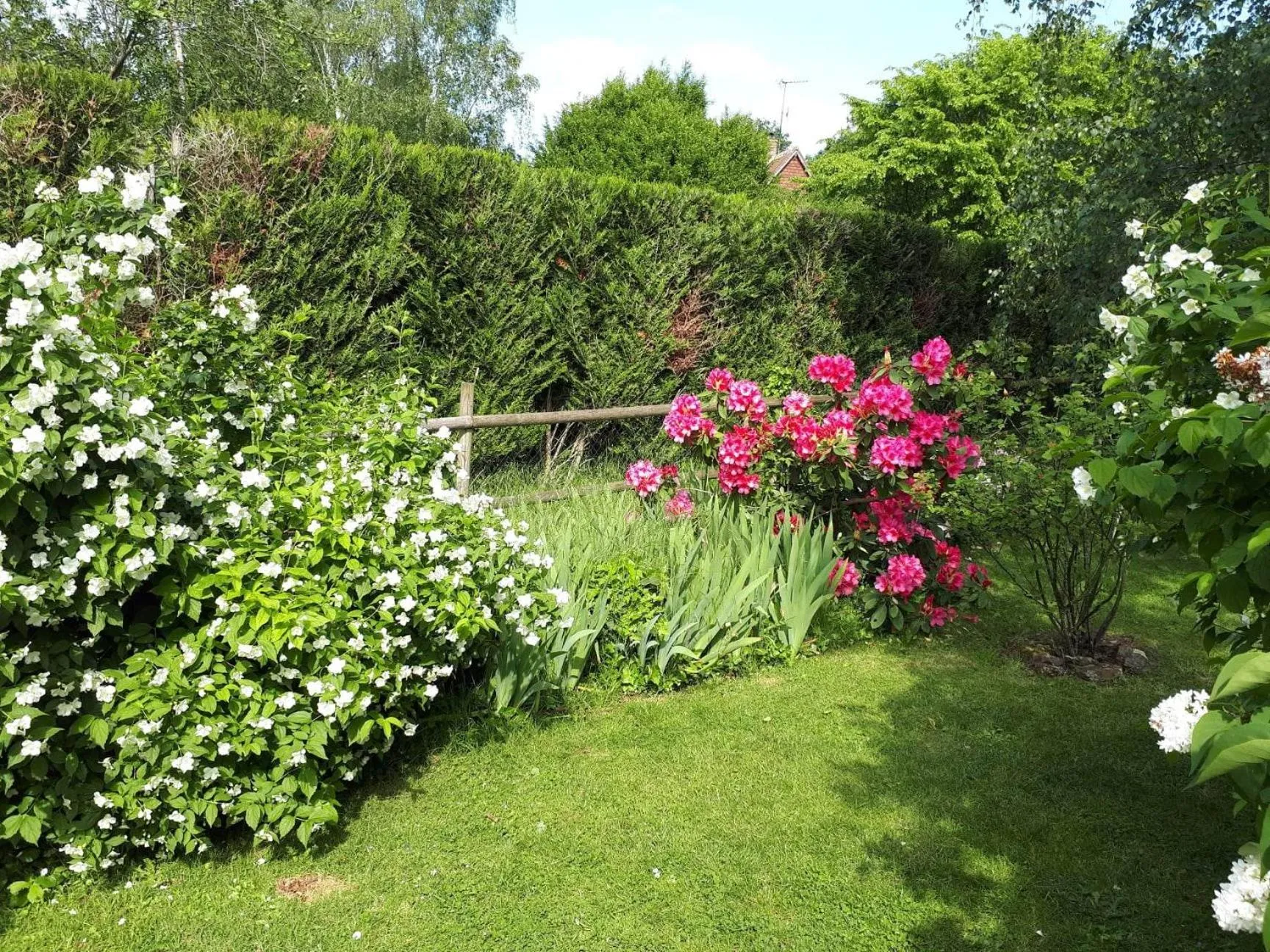 Garden in Chambre D'hôte De La Rotterie