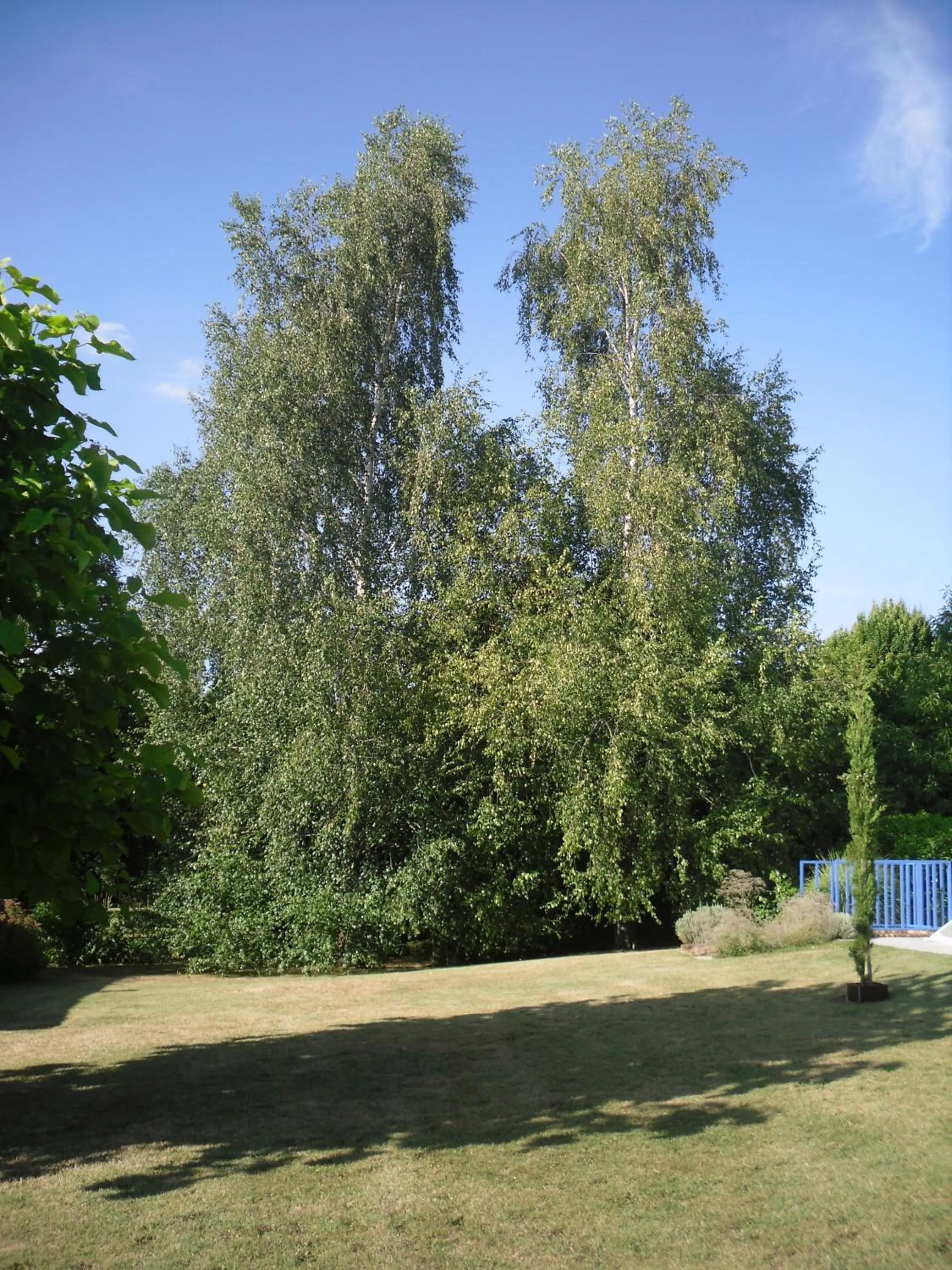 Garden in Chambre D'hôte De La Rotterie