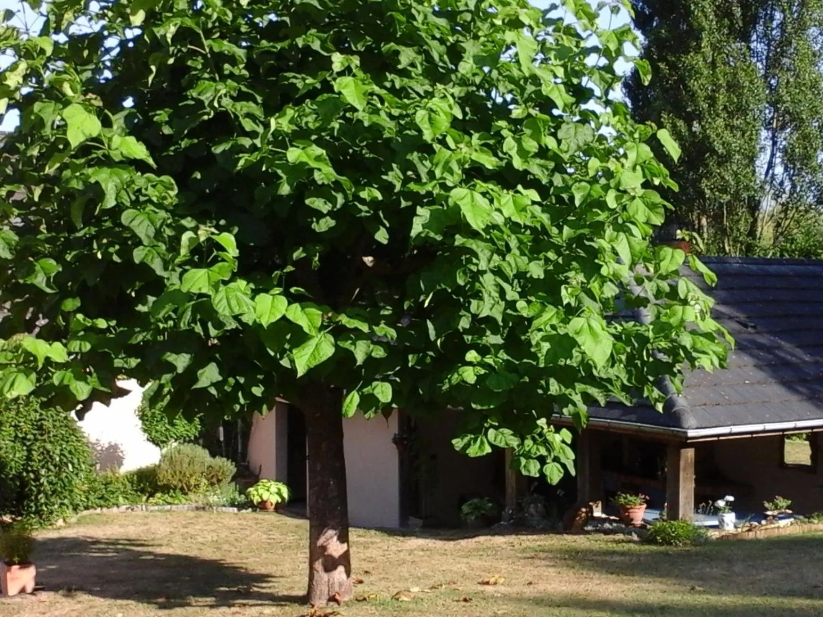 Patio in Chambre D'hôte De La Rotterie