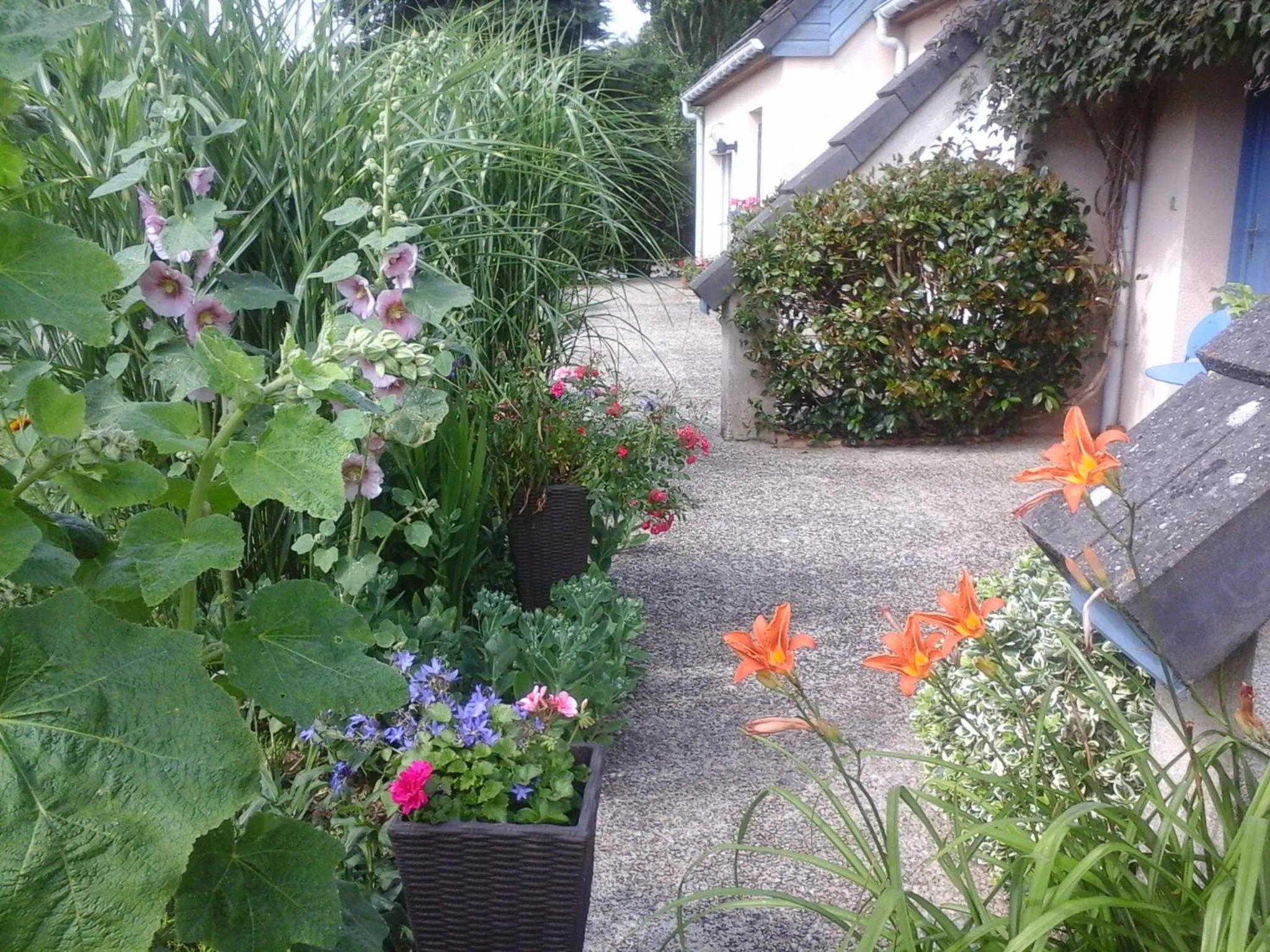 Garden in Chambre D'hôte De La Rotterie