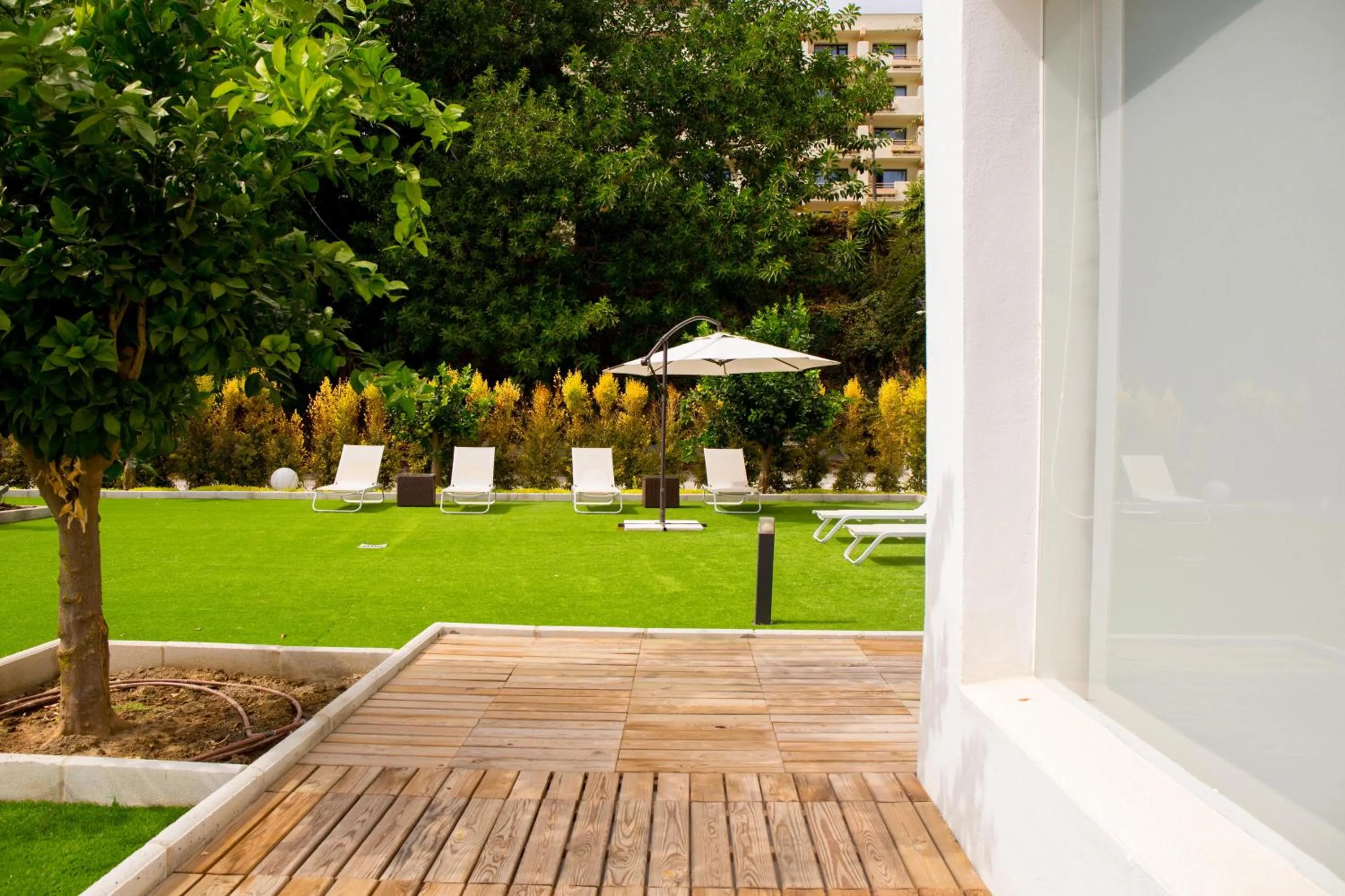 Garden in BLUESEA Dimona Suites