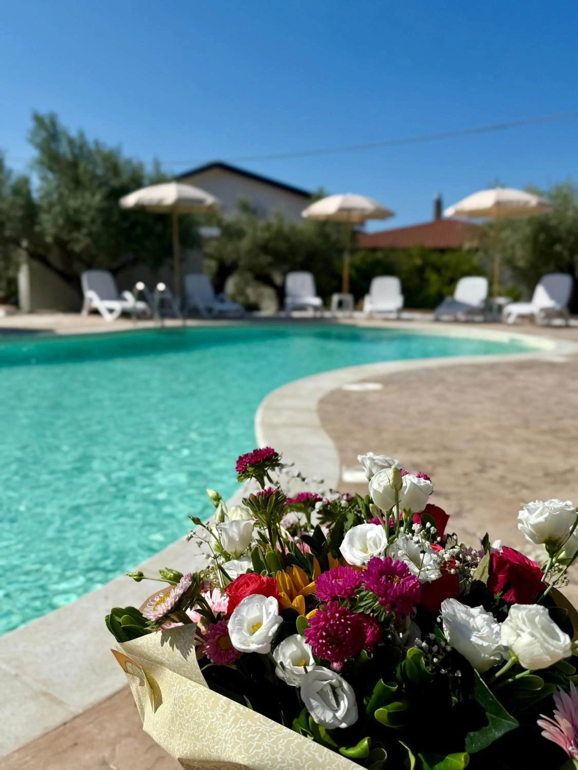 Hotel Ristorante L'Avvenire