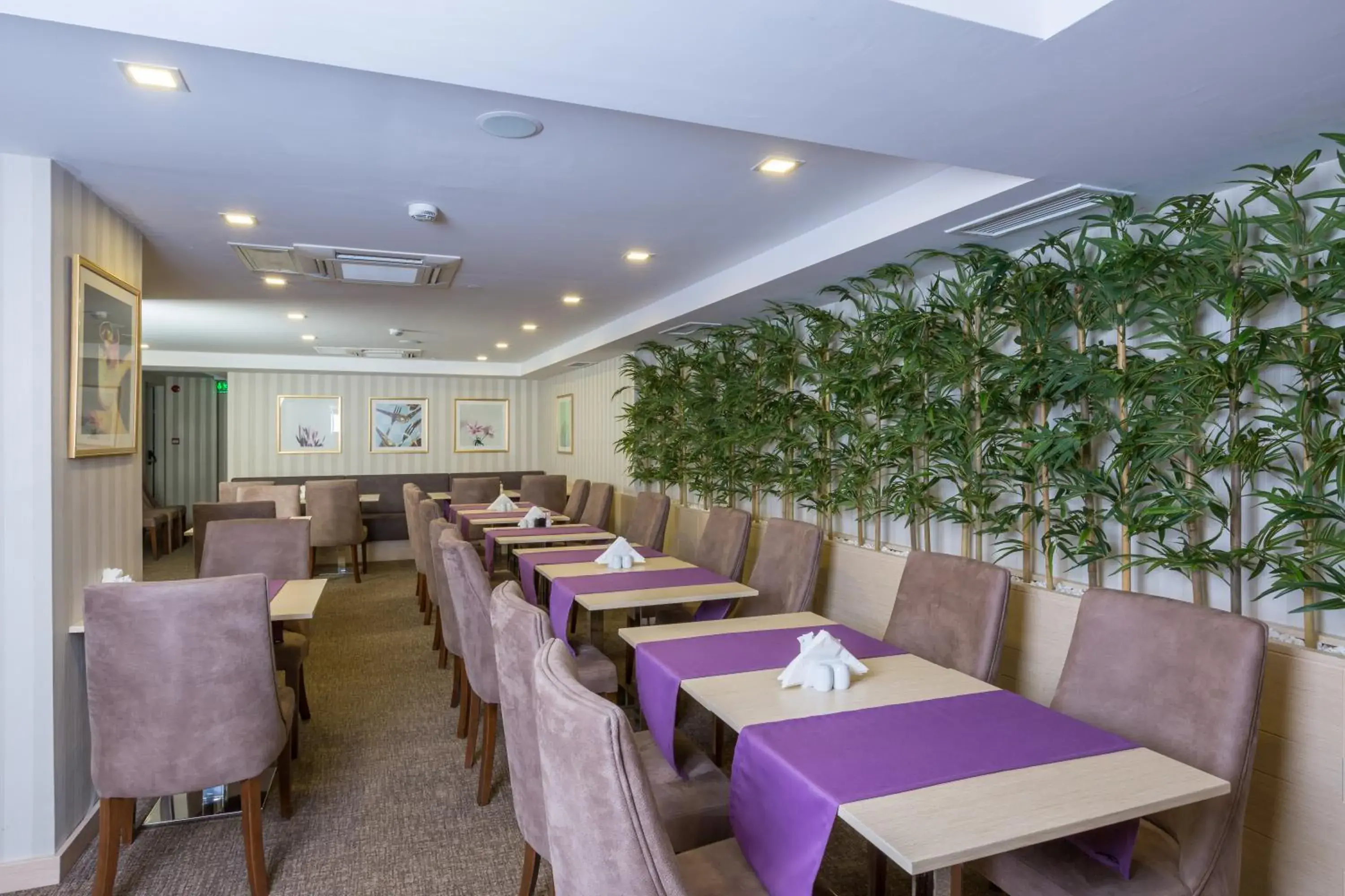 Restaurant/places to eat in Molton Monapart Mecidiyekoy Restaurant/places to eat in Molton Monapart Mecidiyekoy