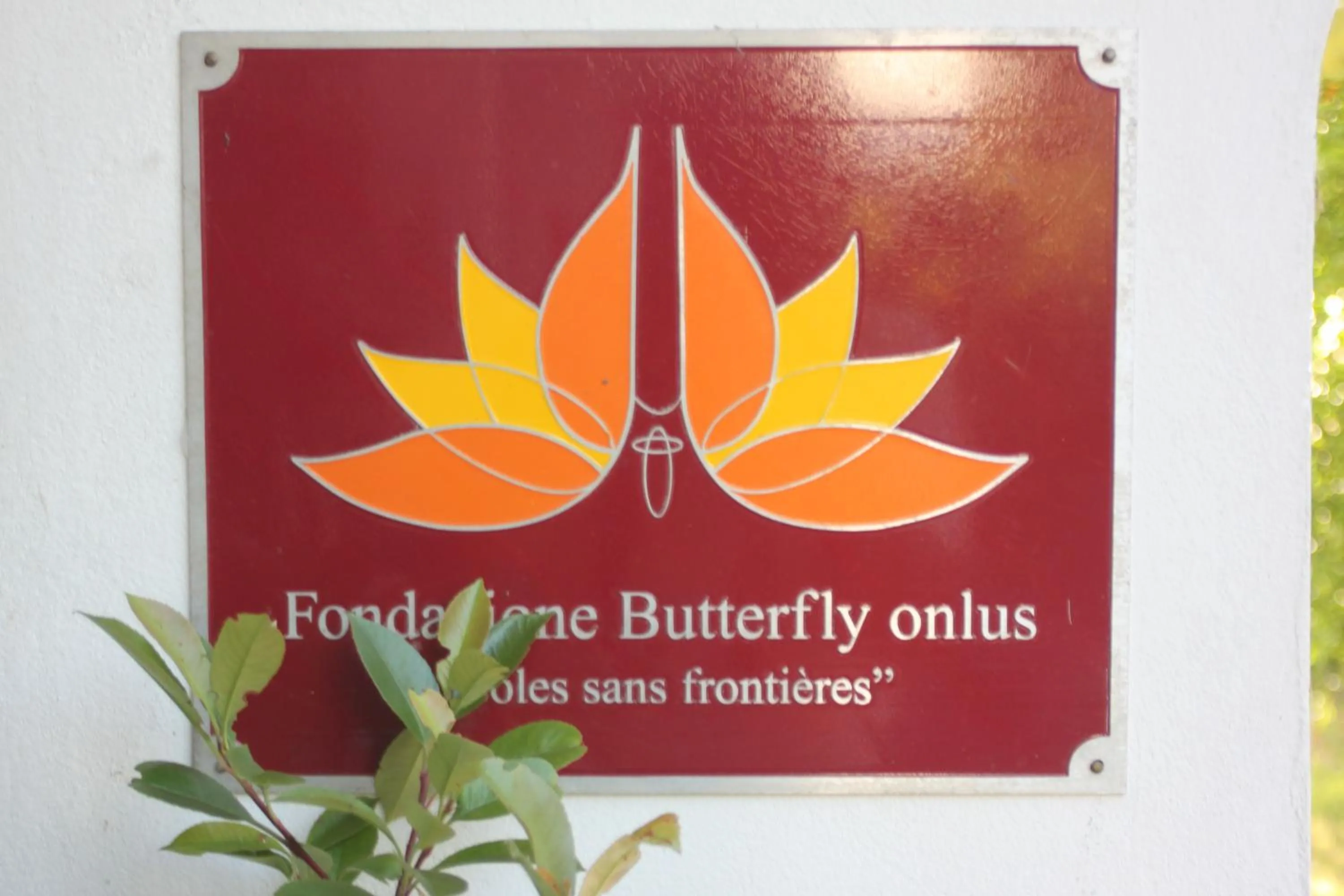 Activities in Butterfly B&B