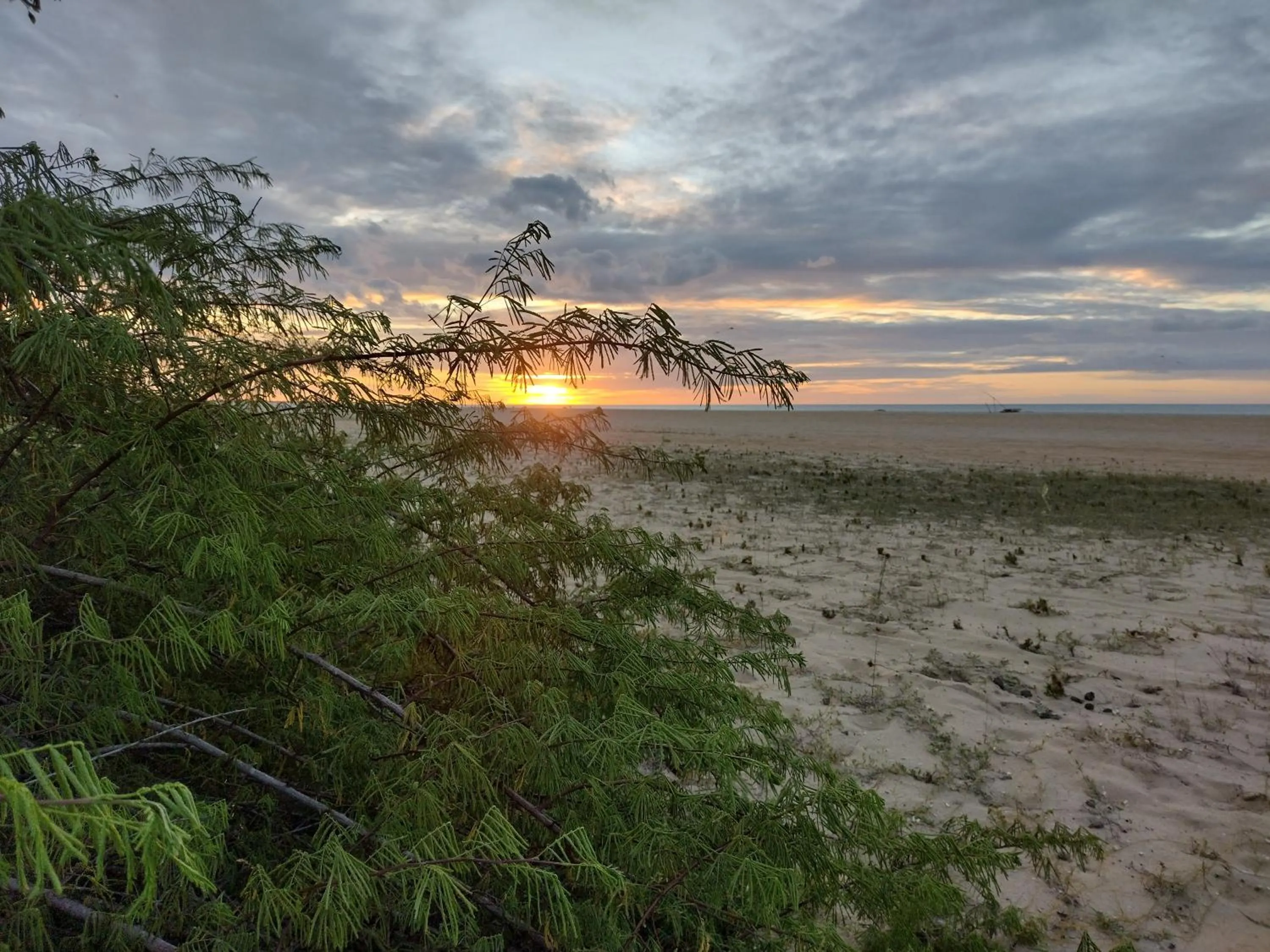 Natural landscape in Hawaii Flats