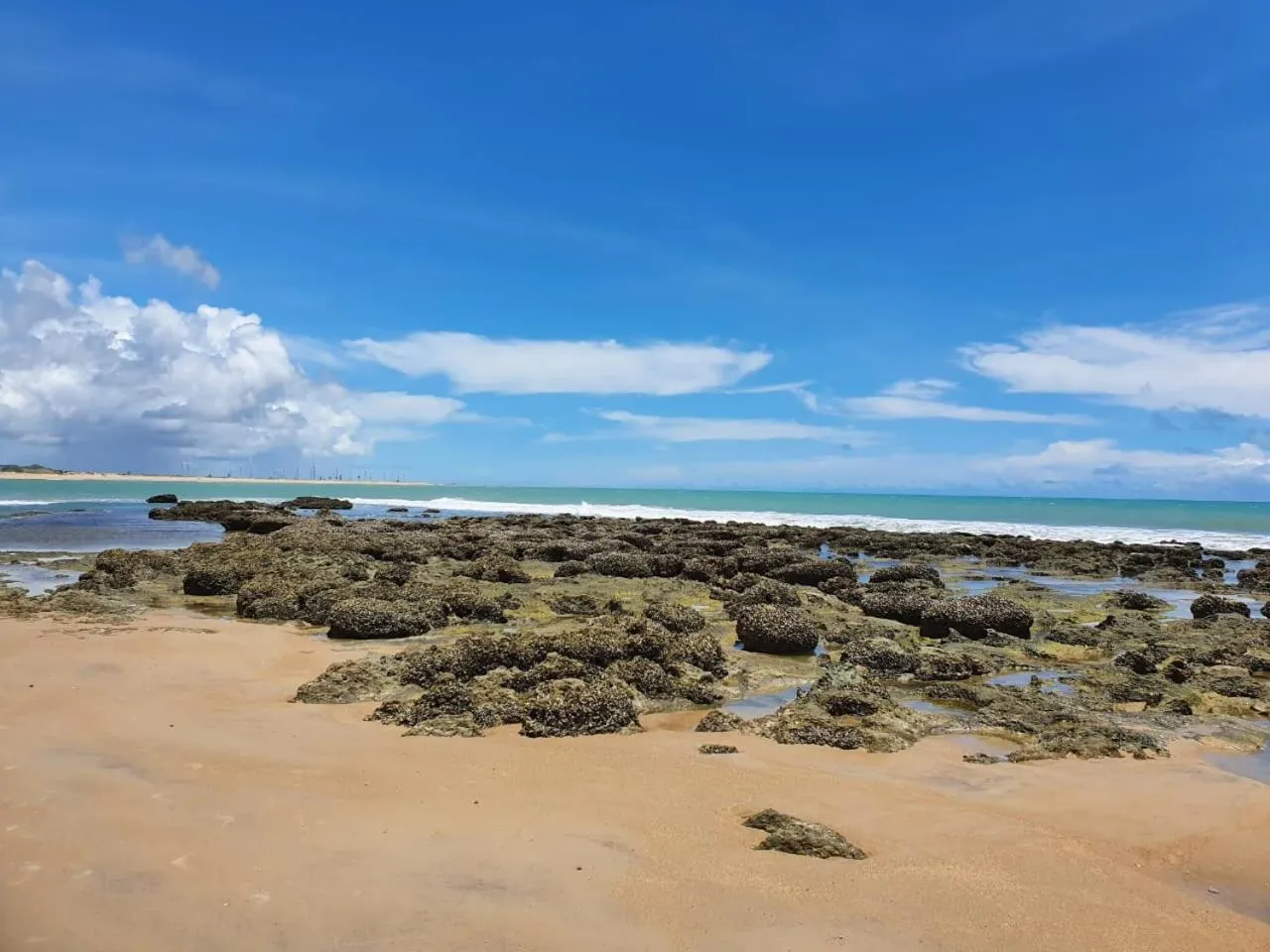 Nearby landmark in Hawaii Flats