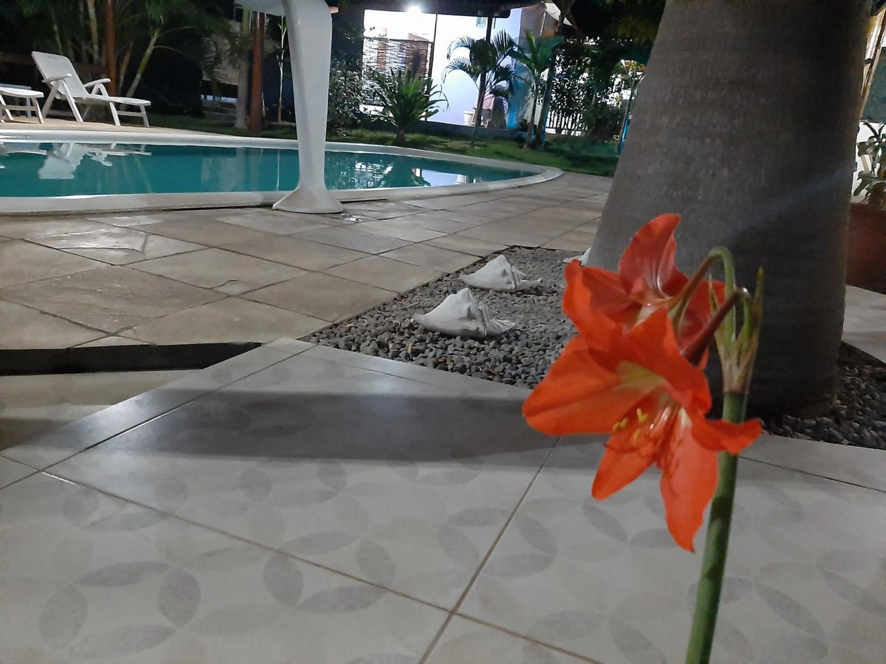 Garden view in Hawaii Flats