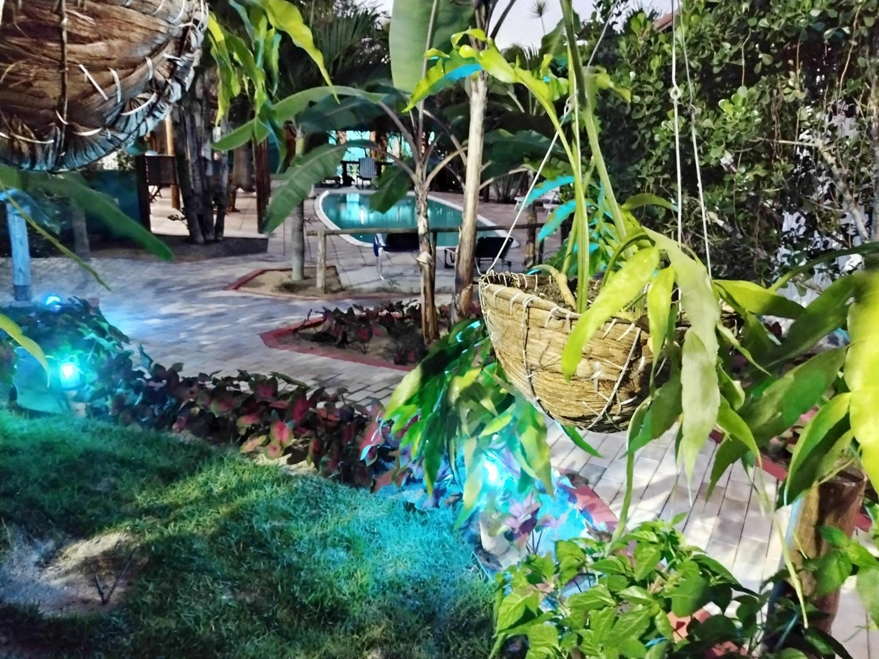 Garden in Hawaii Flats