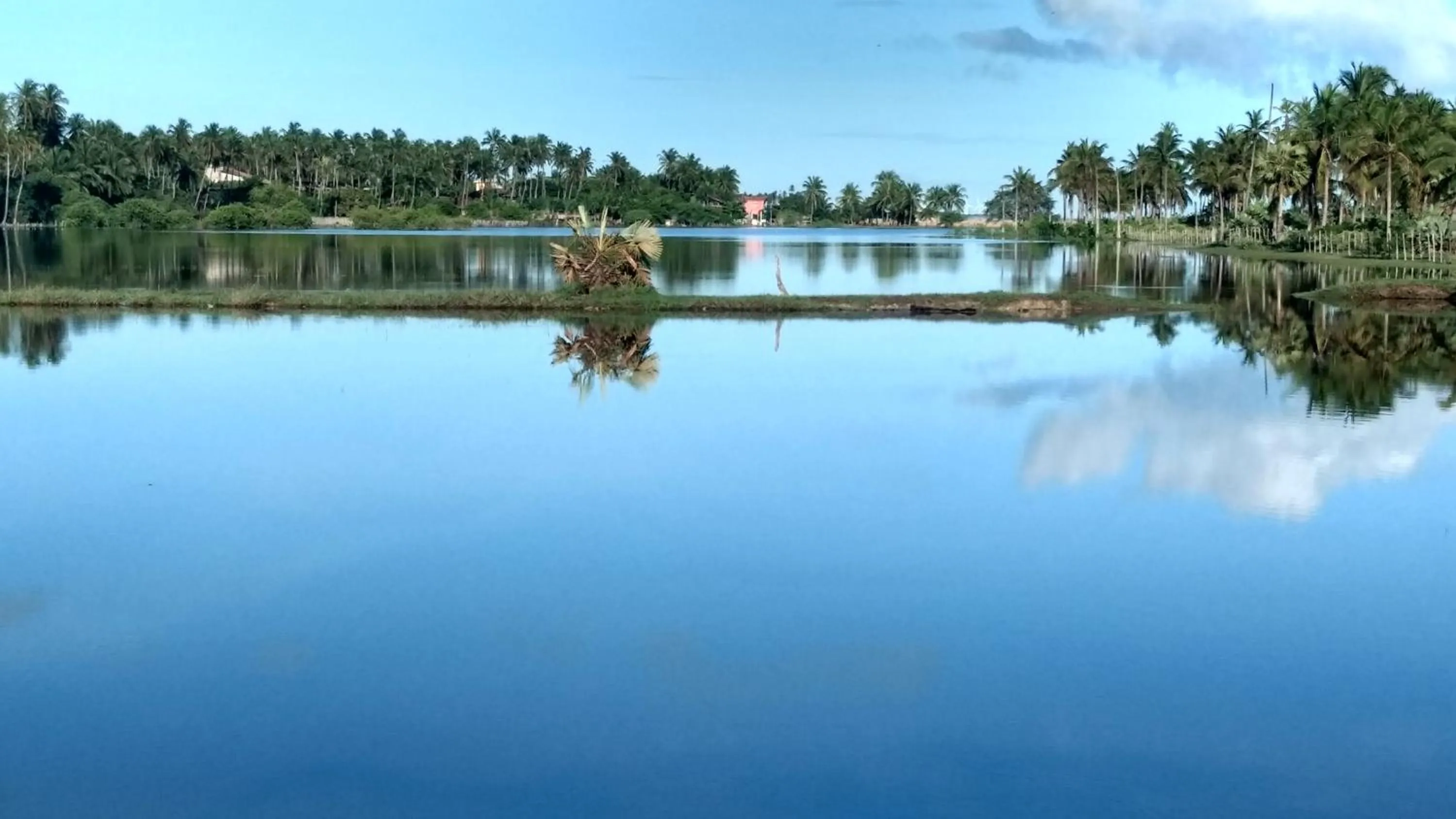 Natural landscape in Hawaii Flats