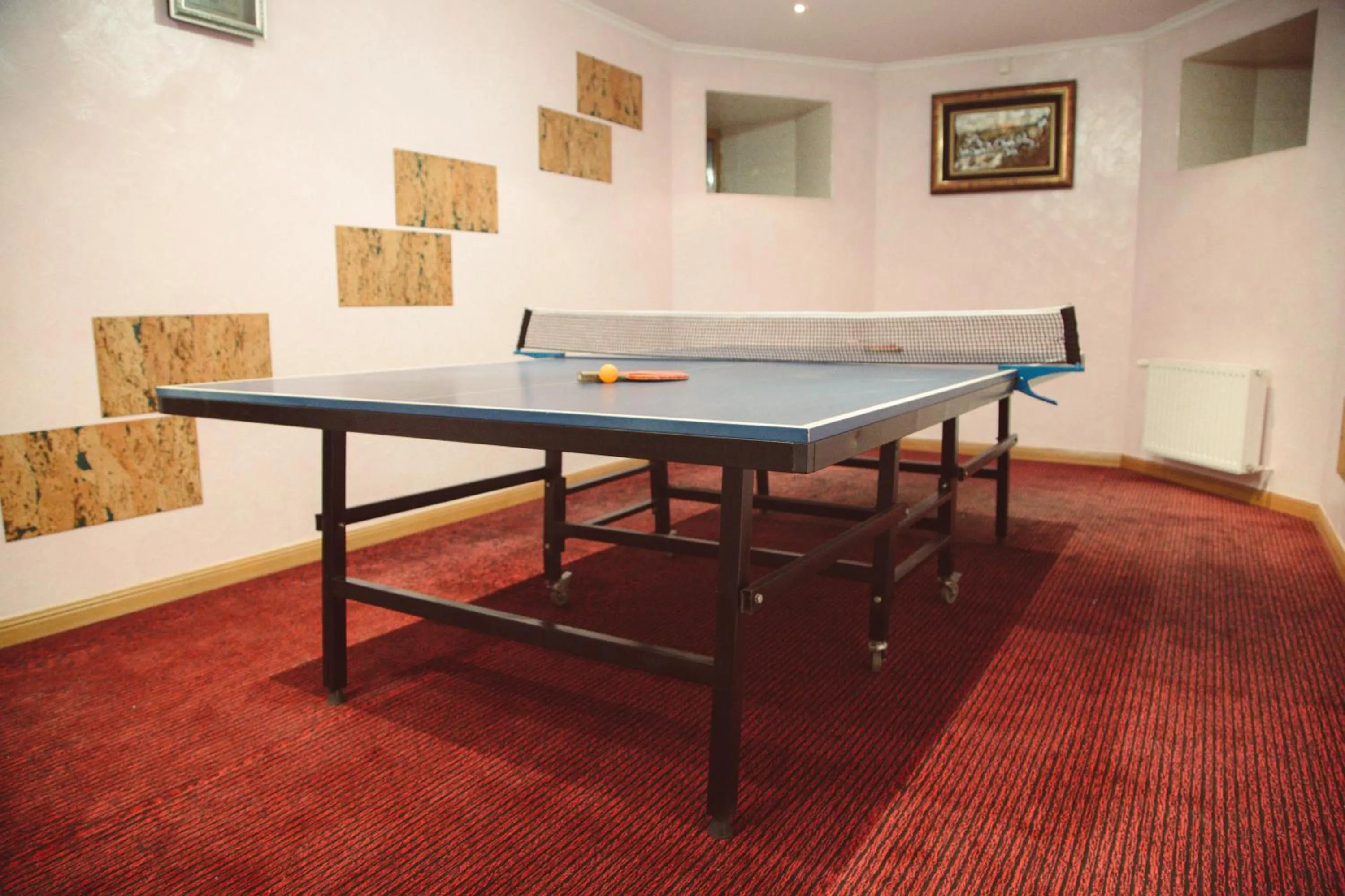 Table tennis in Guest House Montreal