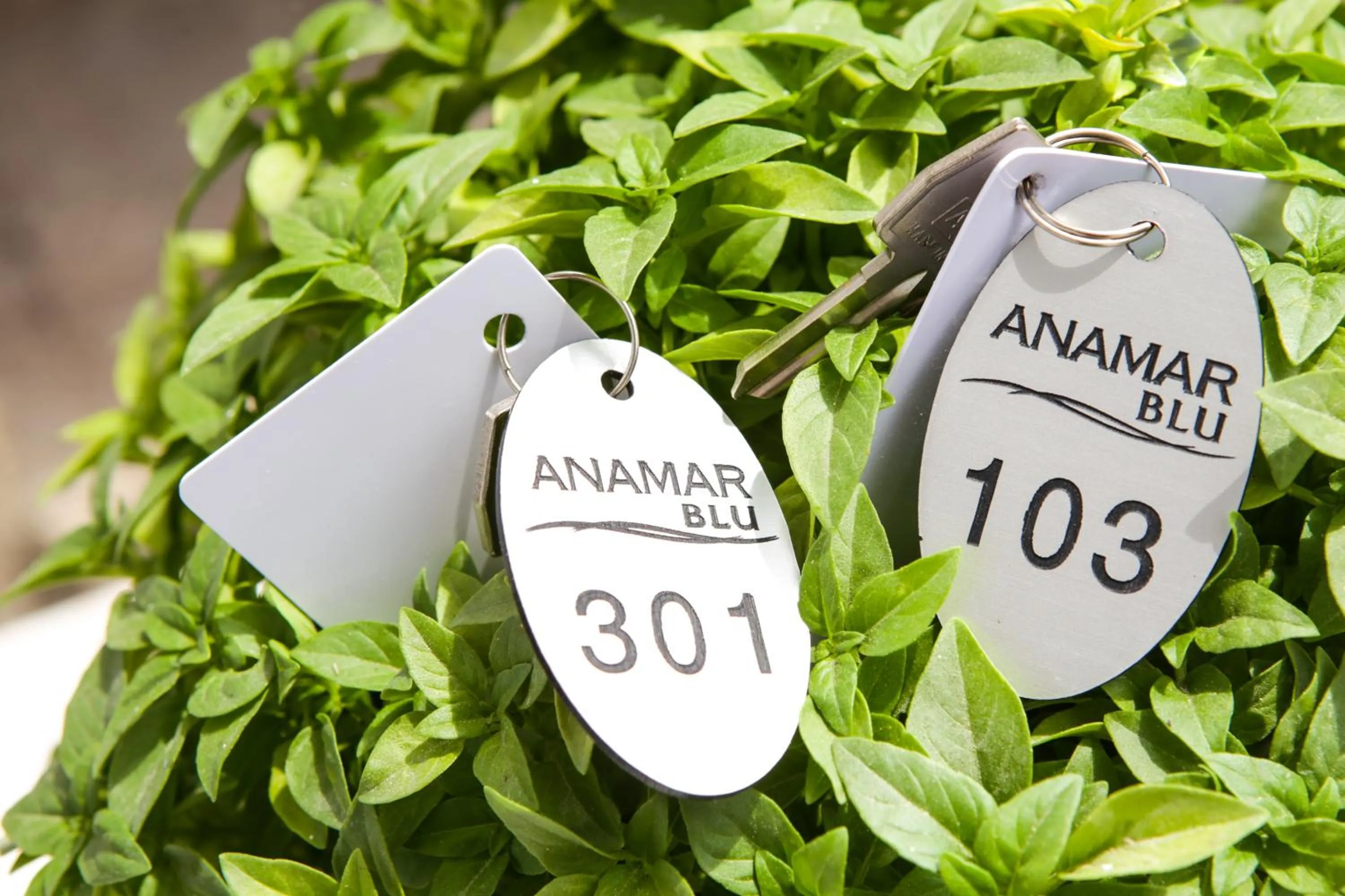 Decorative detail in Anamar Blu