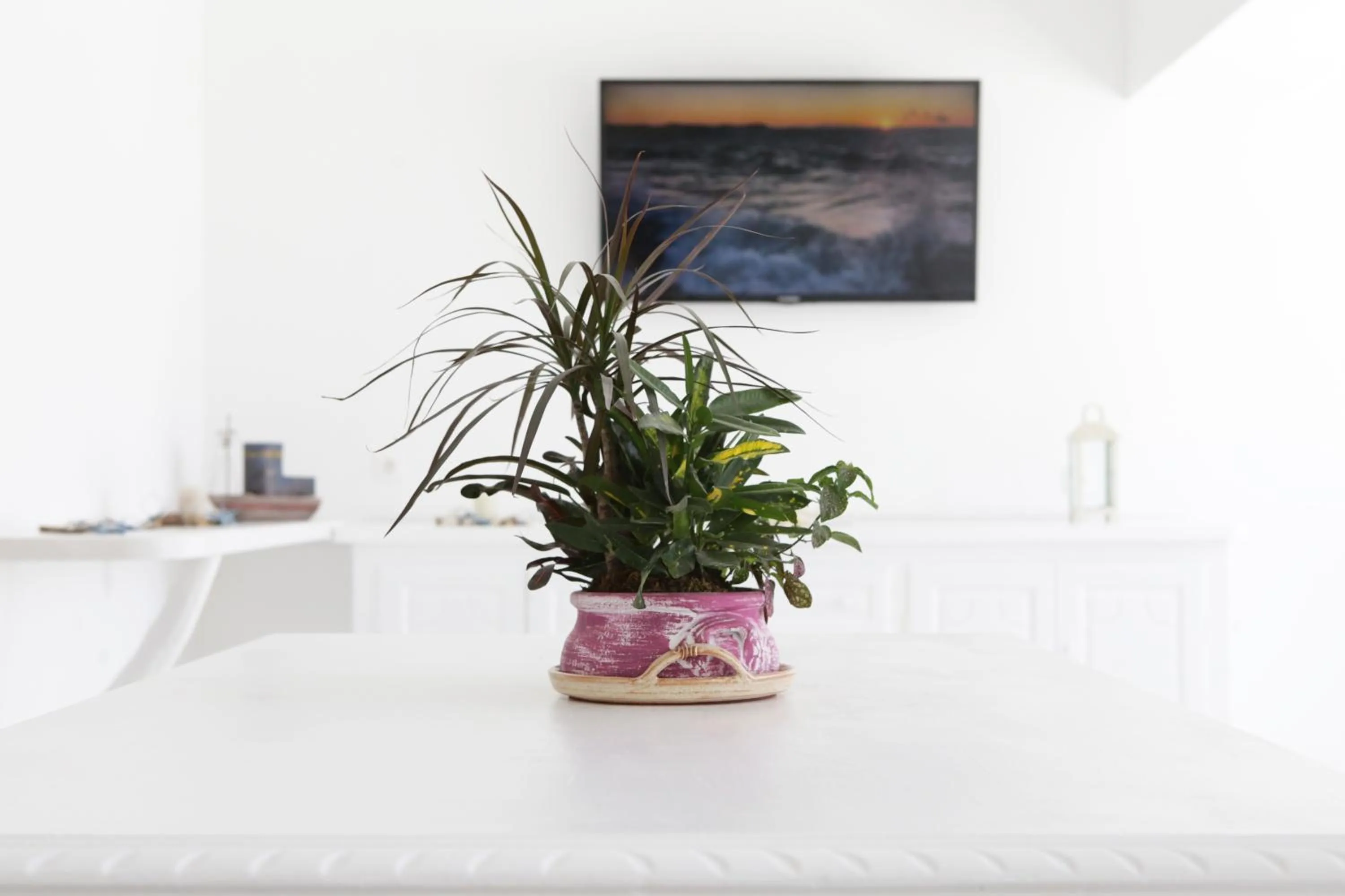 Lobby or reception in Anamar Blu