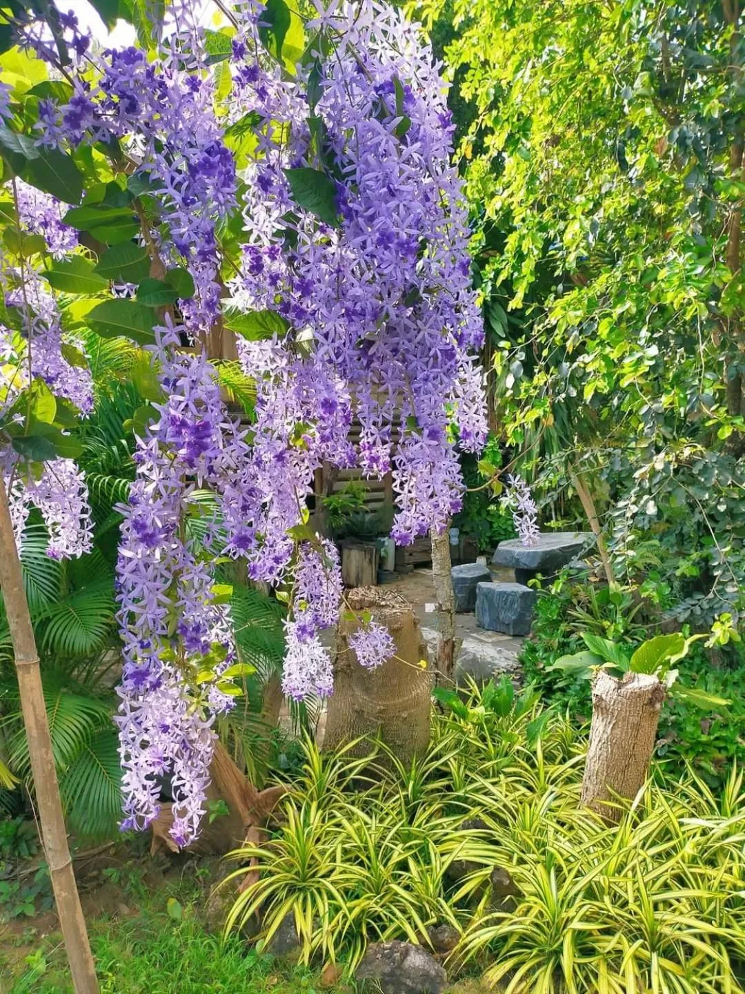 Day in Baanmai Phaipa House