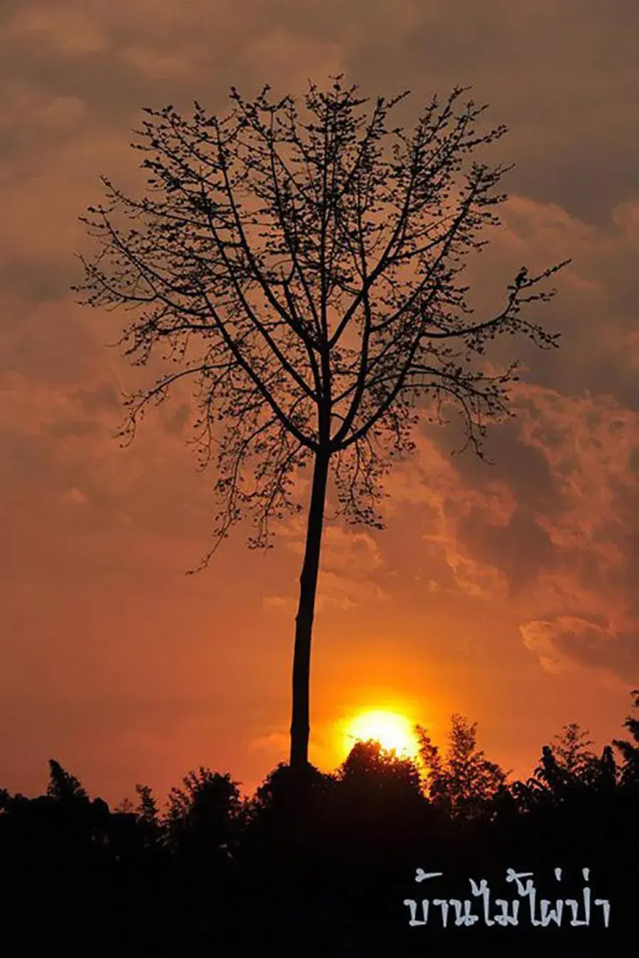 River view in Baanmai Phaipa House River view in Baanmai Phaipa House