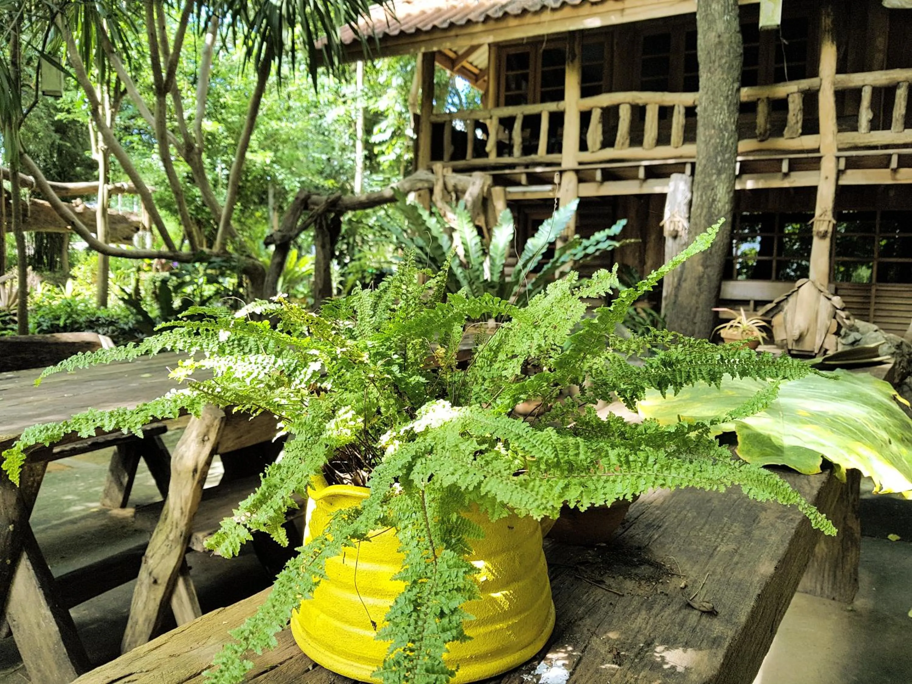 Patio in Baanmai Phaipa House