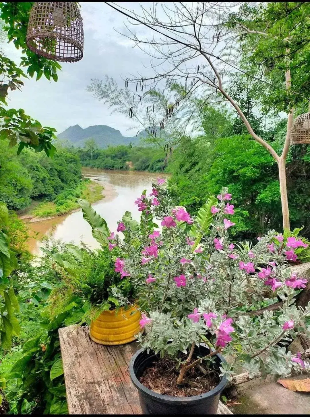 River view in Baanmai Phaipa House River view in Baanmai Phaipa House