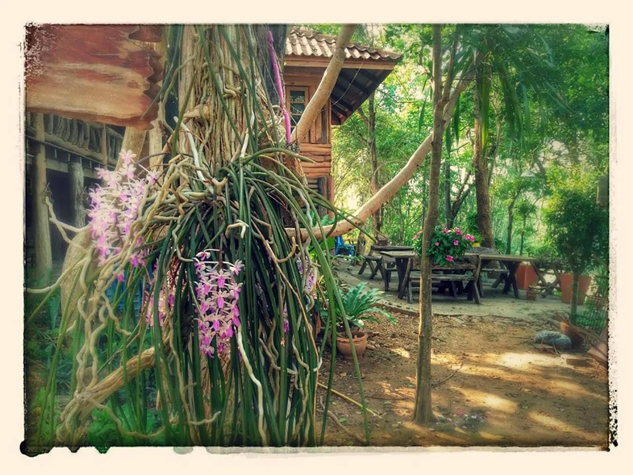 Natural landscape in Baanmai Phaipa House