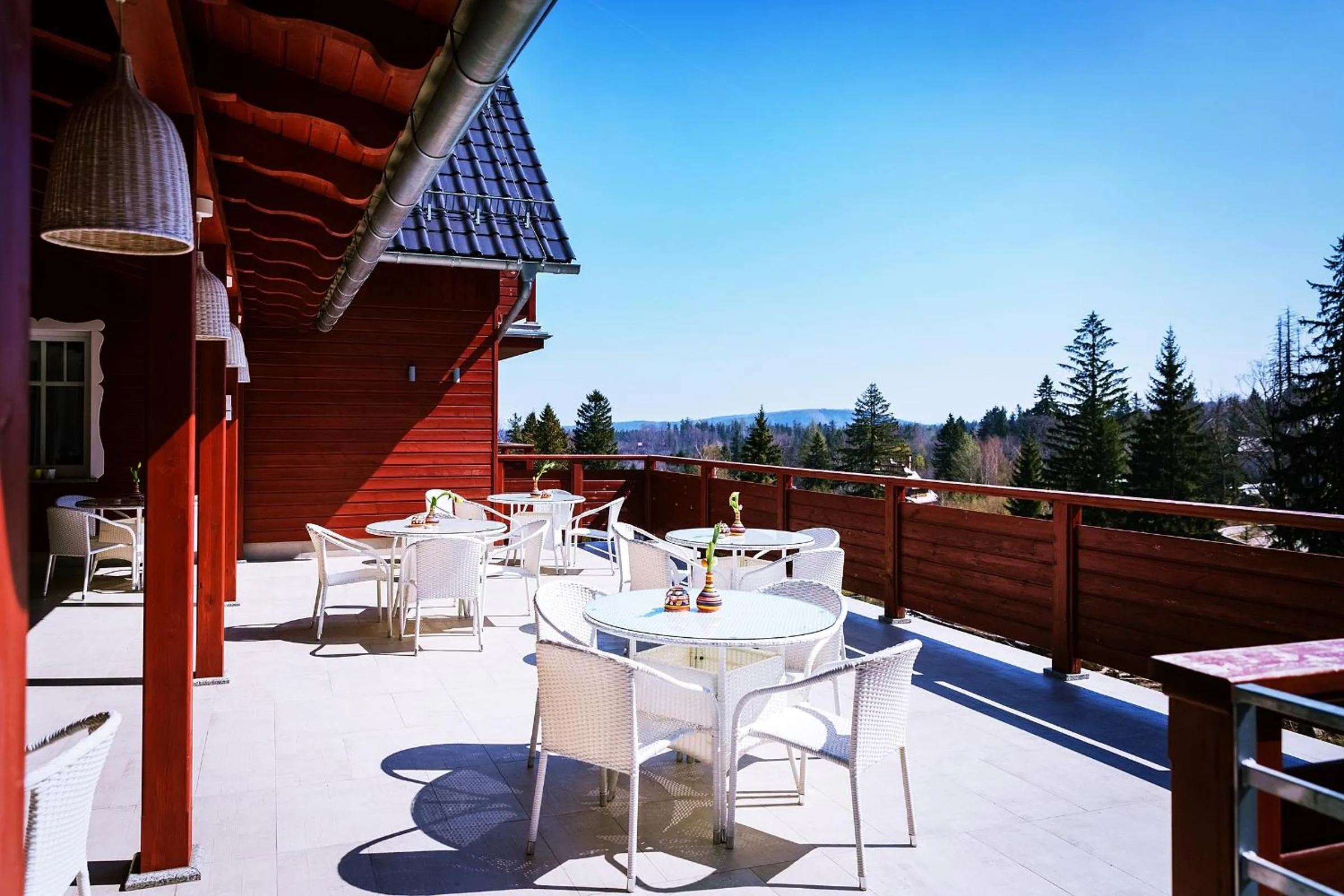 Balcony/Terrace in Hotel Willa Odkrywców
