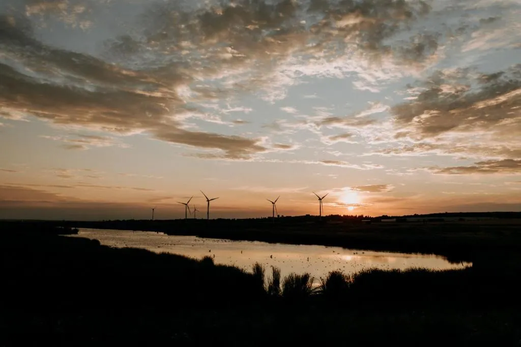 Natural landscape in The Ferry House