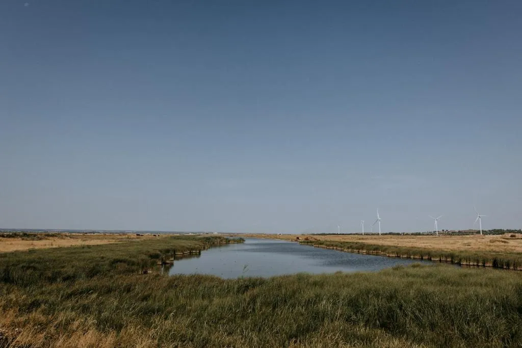 Natural landscape in The Ferry House