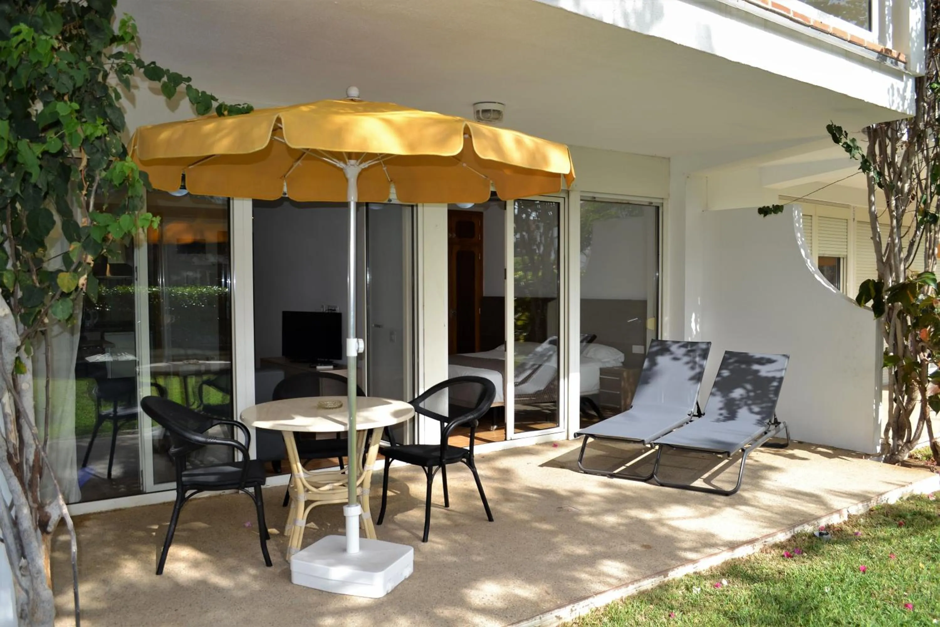 View (from property/room) in Apartamentos Montemayor