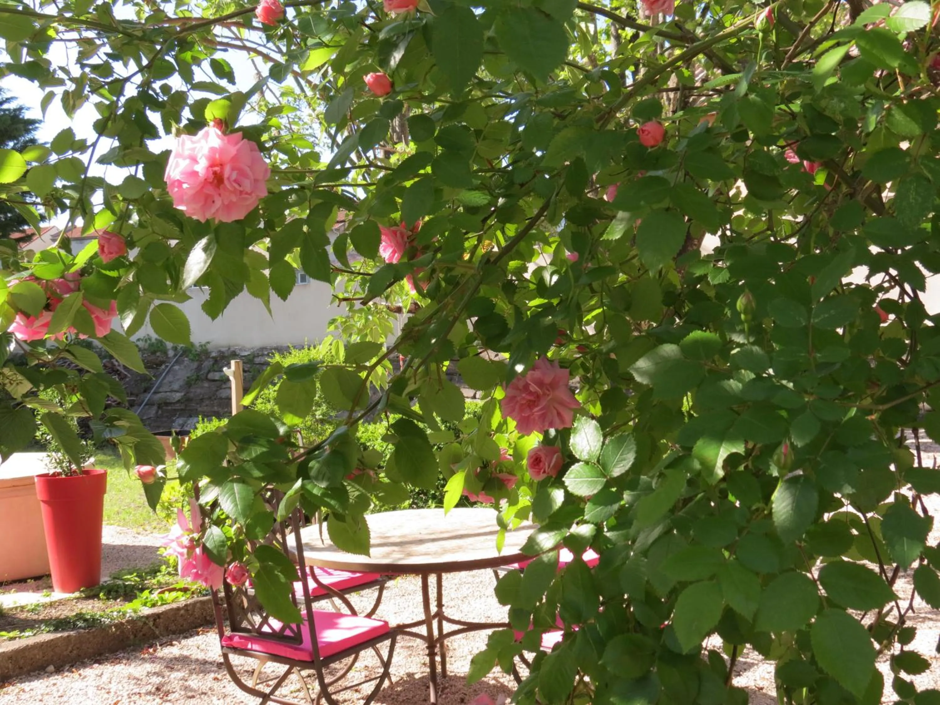 Le Jardin