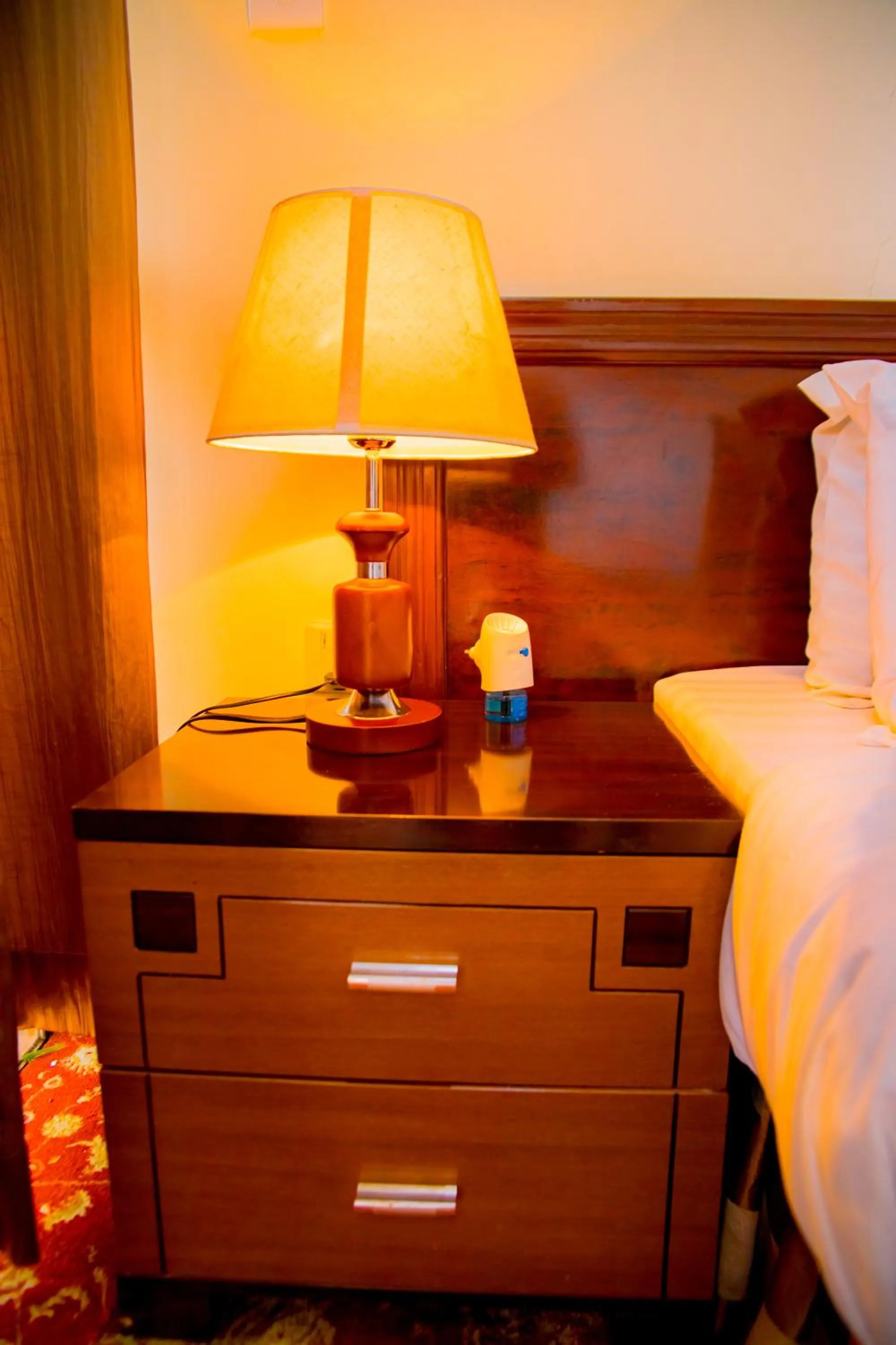 Ineza Hotel Musanze - Snow Hotel