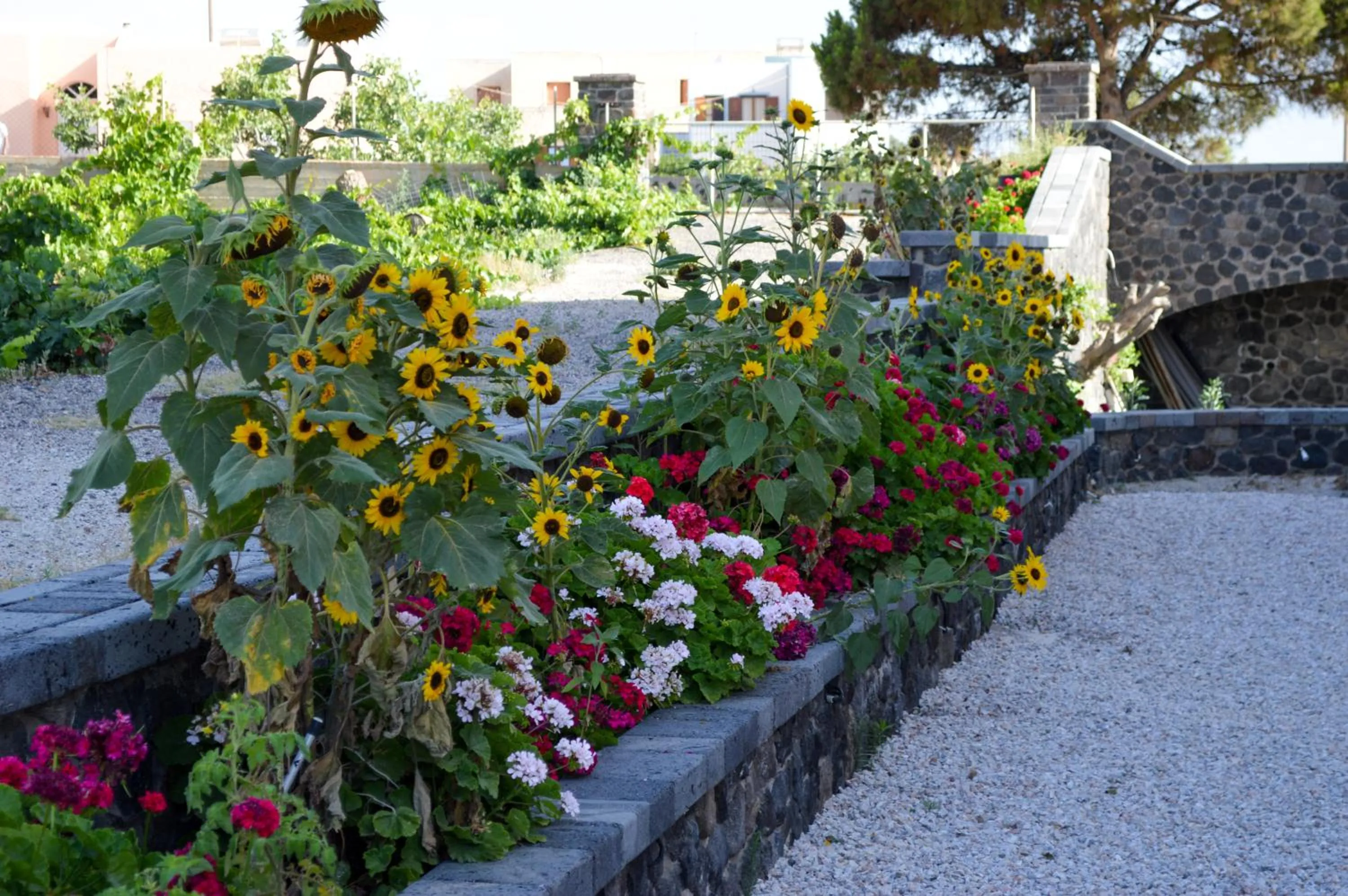 Spring in Castro Hotel