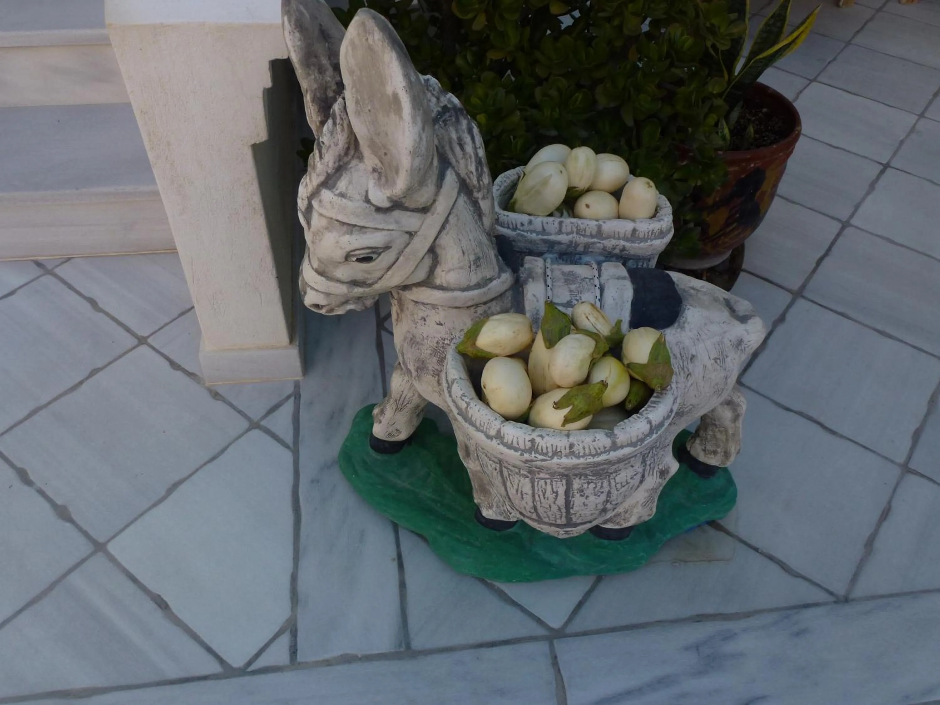 Food in Castro Hotel