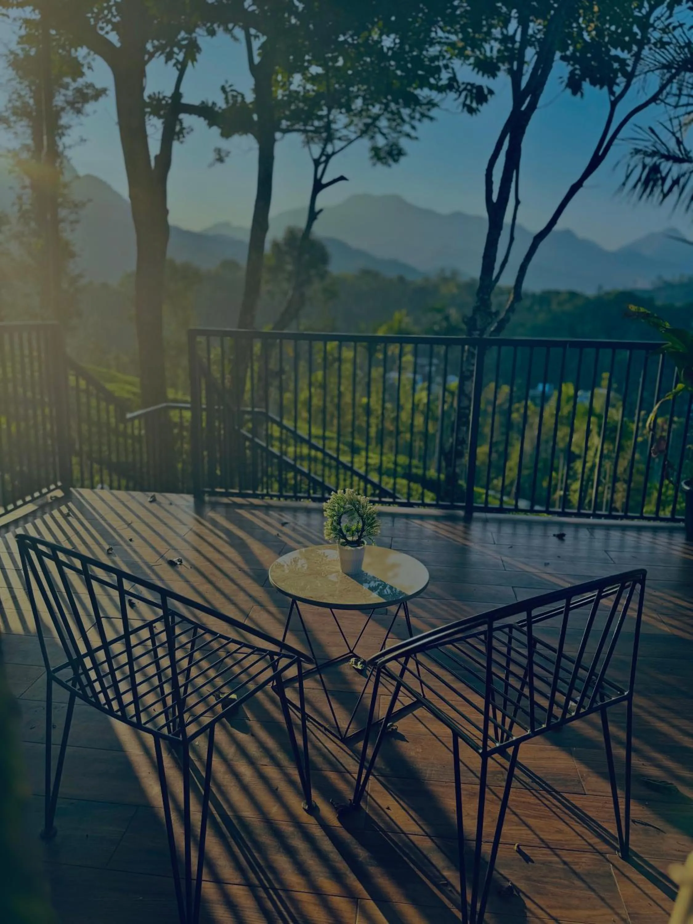 Hayashi Resort